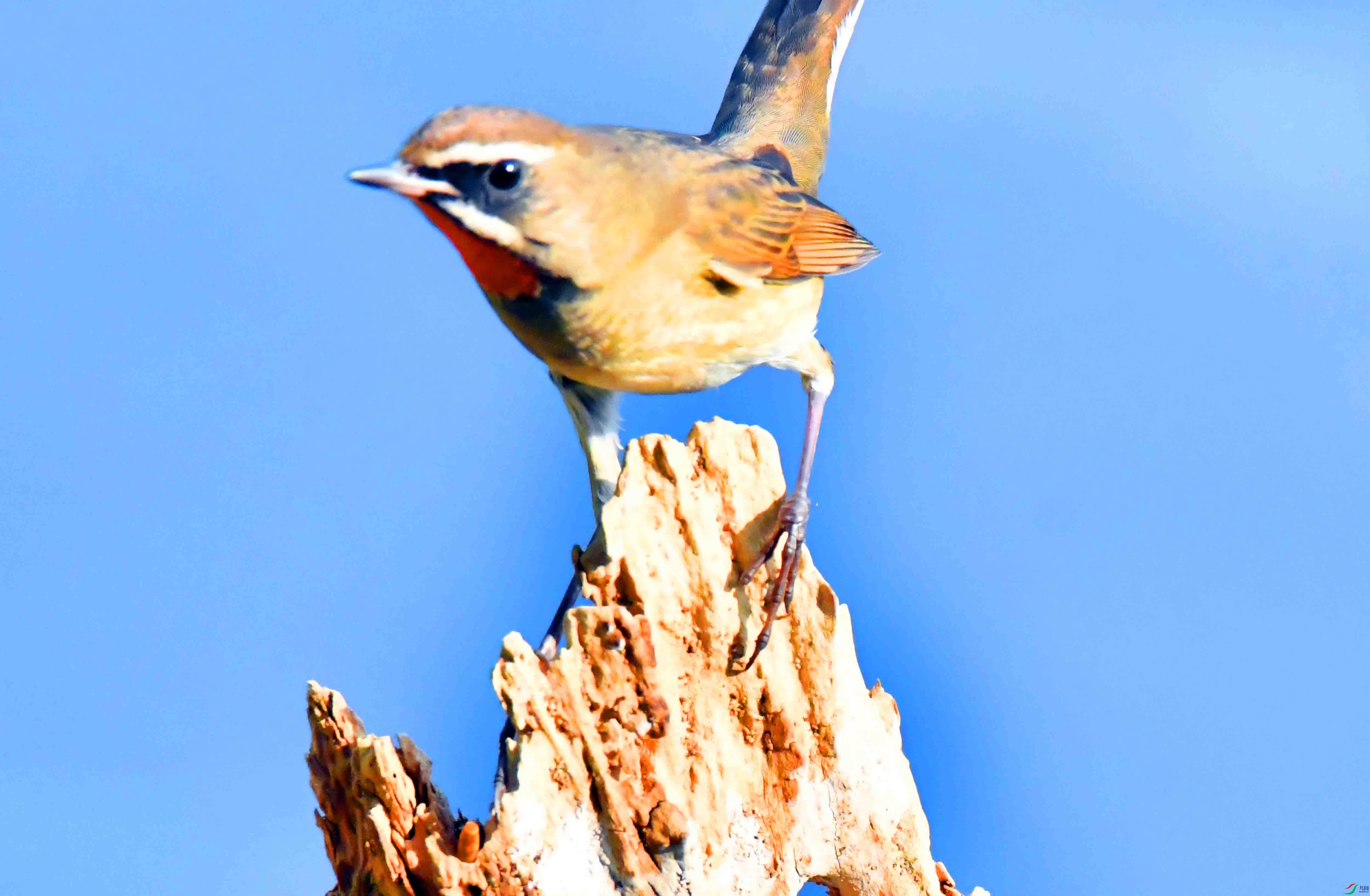 DSC_6021.JPG