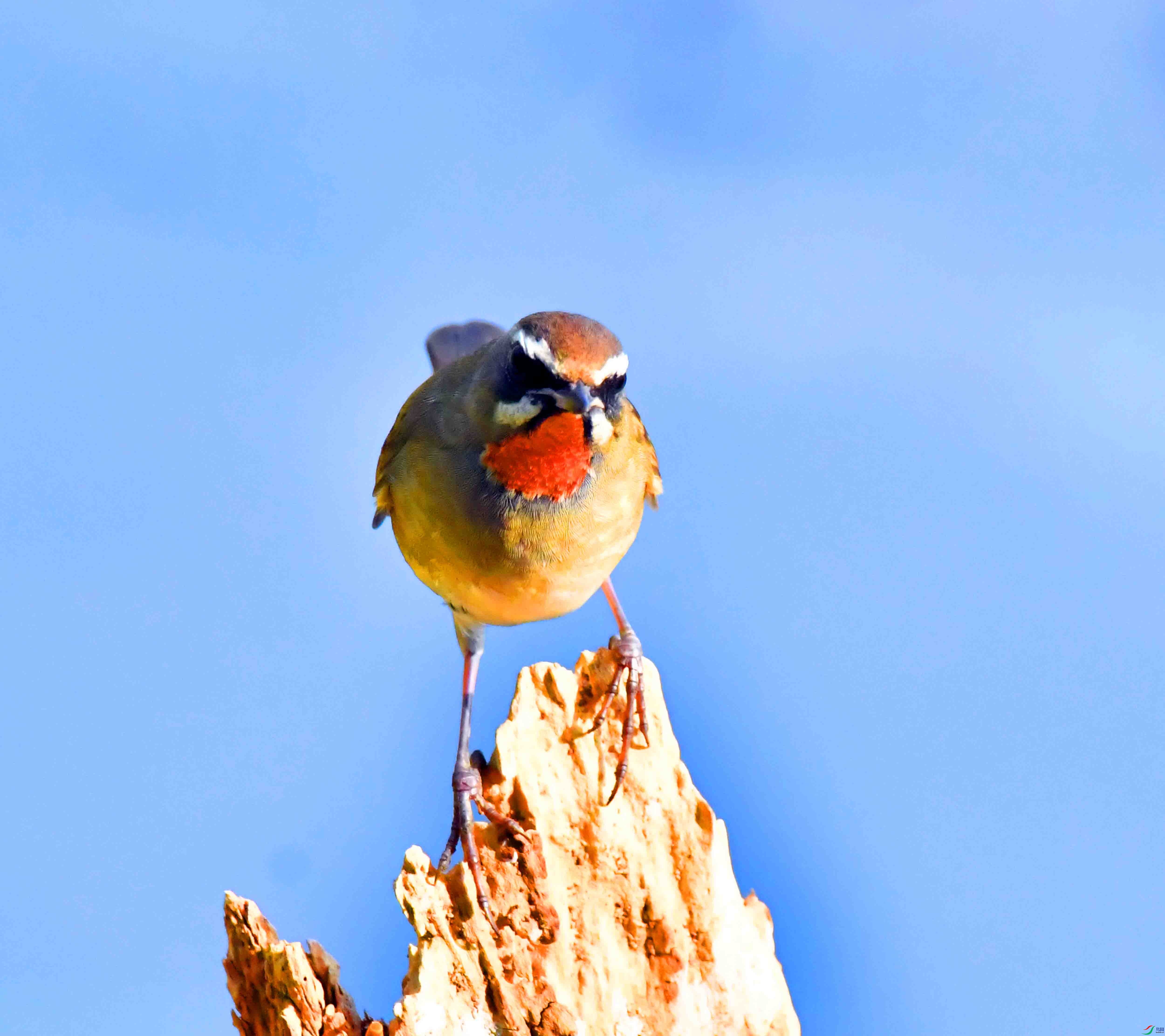 DSC_6023.JPG