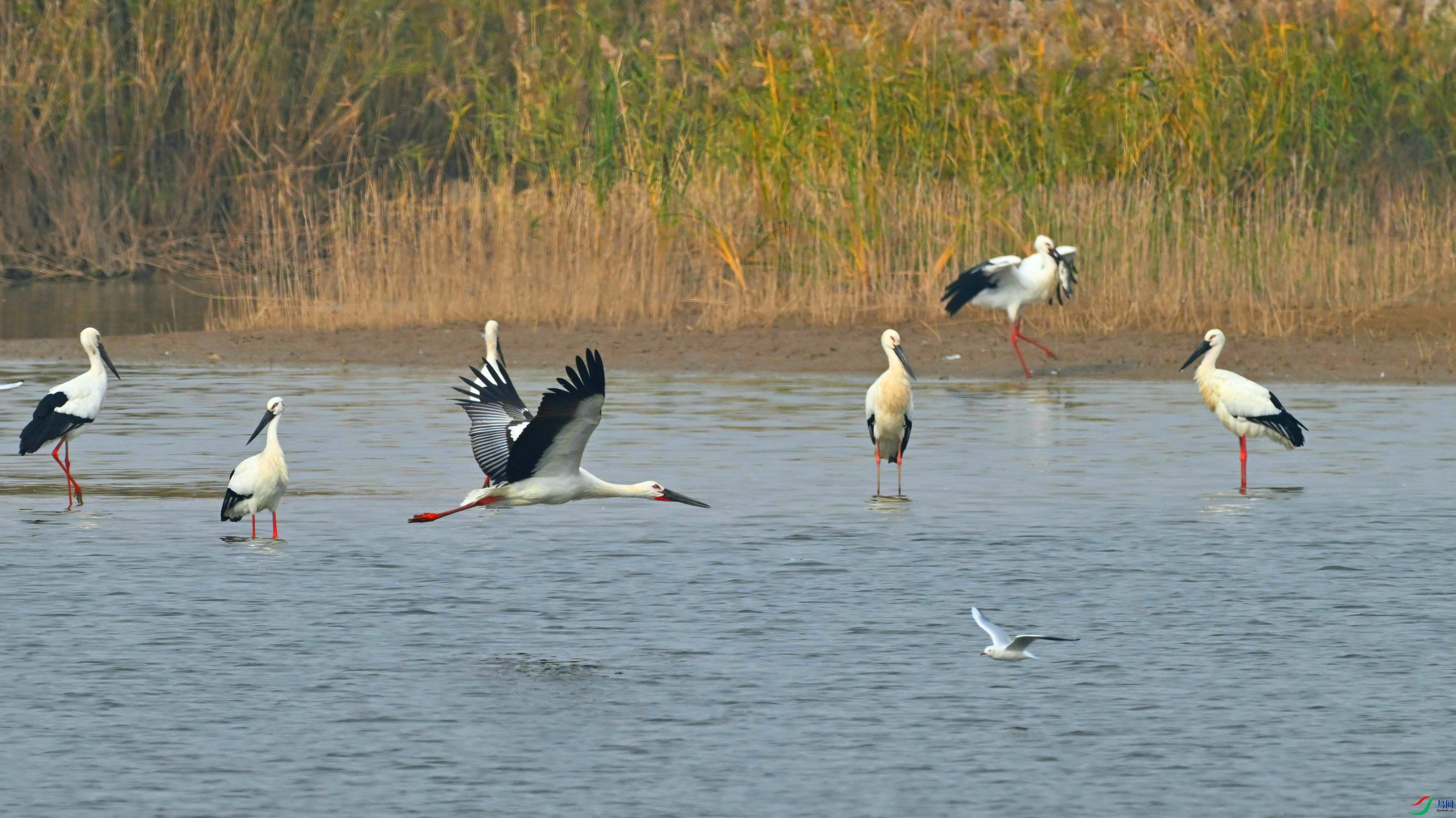 DSC_0538.JPG