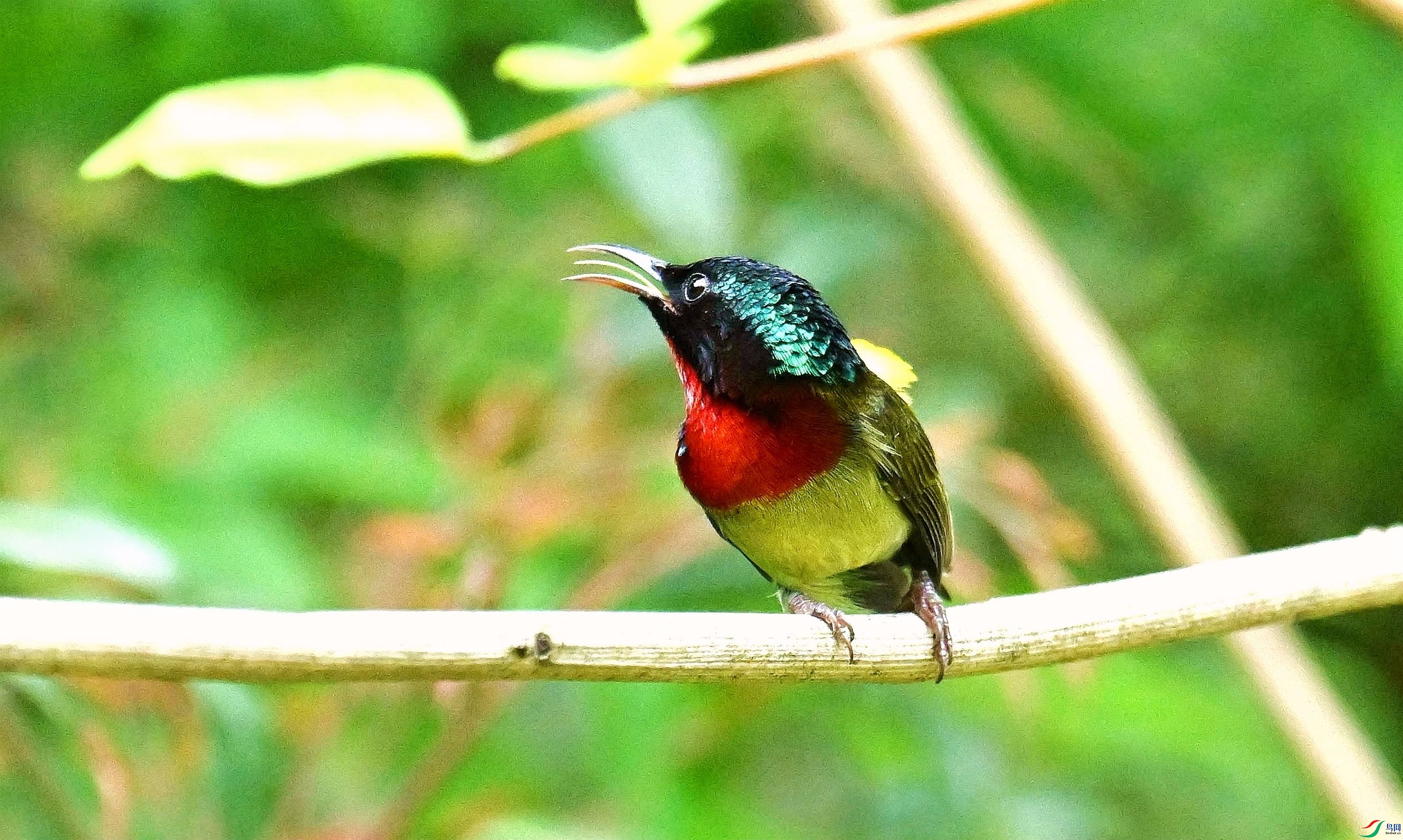 DSC_7845_����.jpg