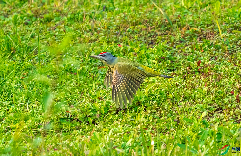 _DSC8287.jpg