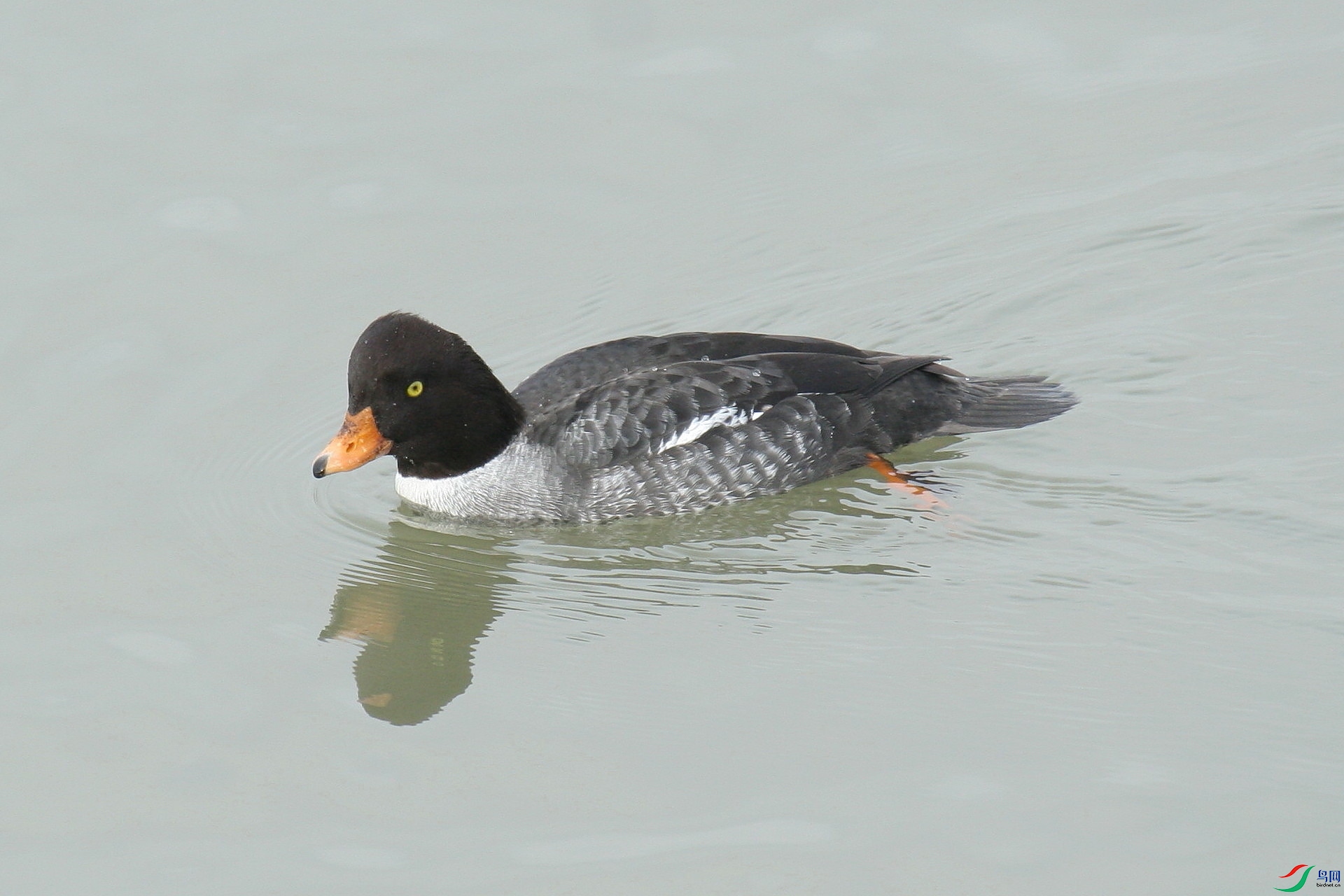 �����ϴ�