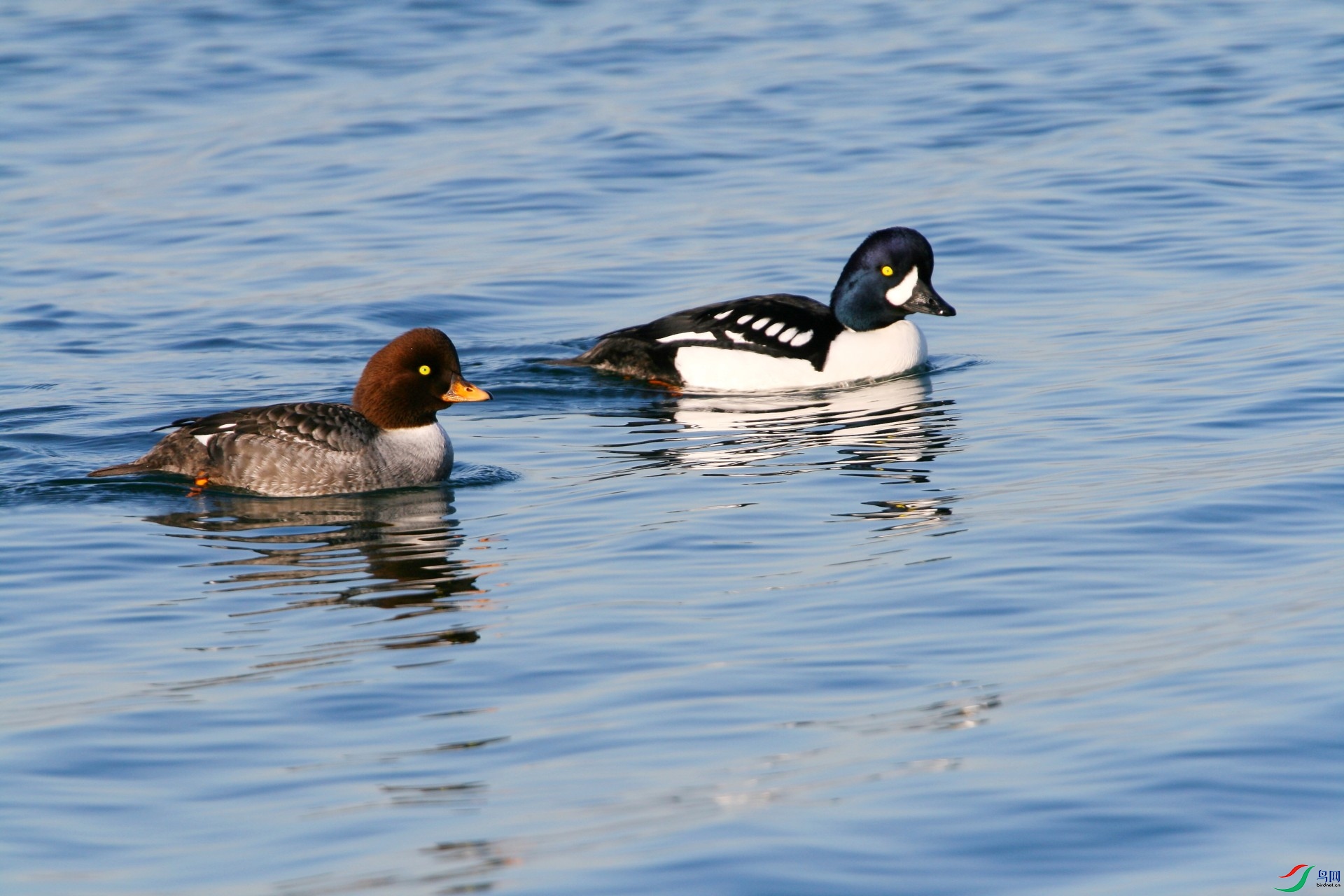 �����ϴ�ʮ��1