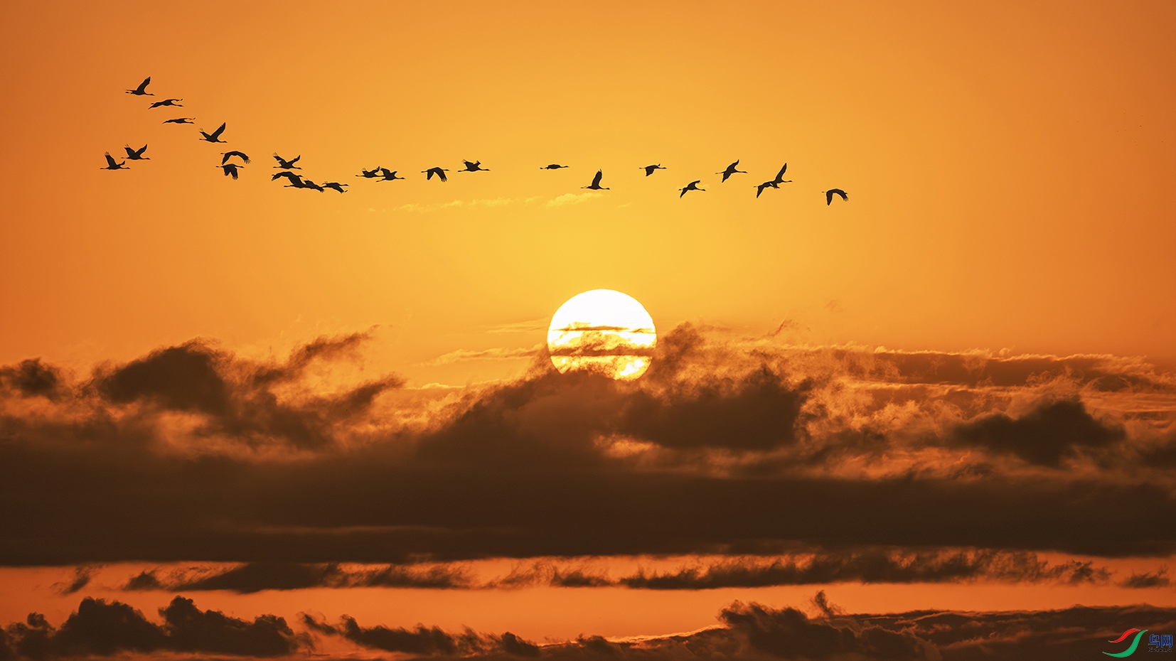 DSC03932-����ǿ-NR ����.jpg