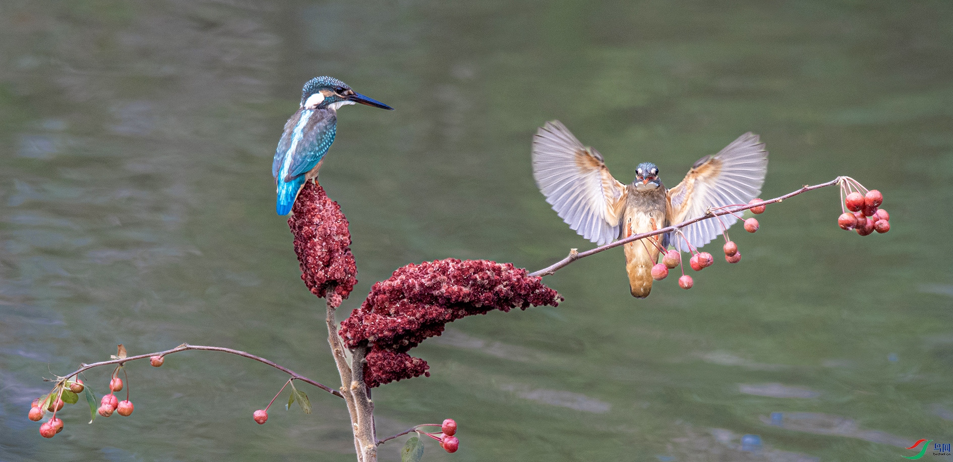 Image_1753956396125 ����.jpg