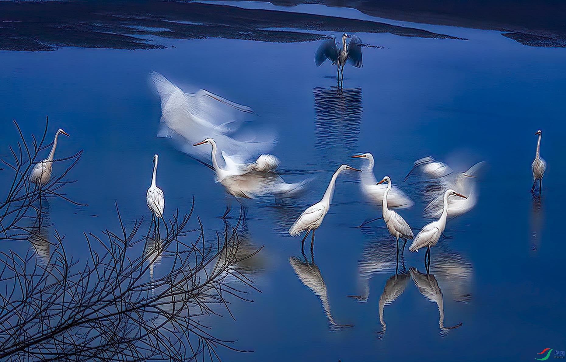 ��Ӱ����