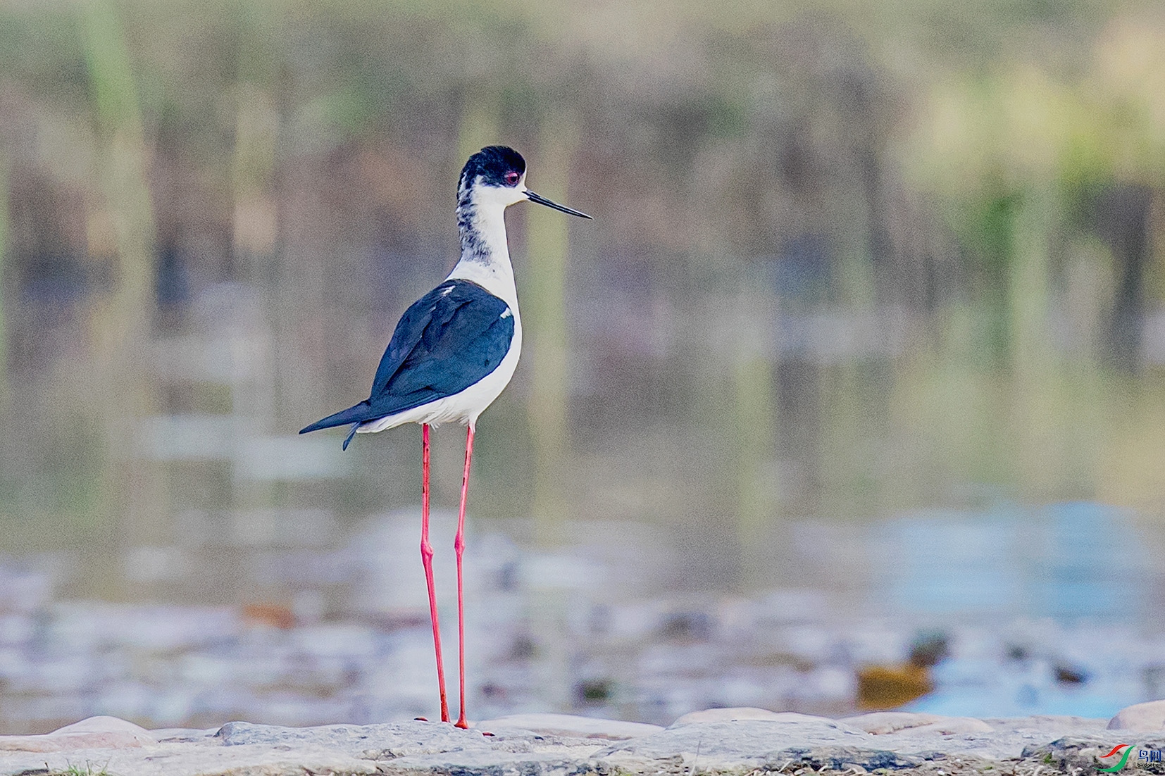 _90I3443 ����.jpg