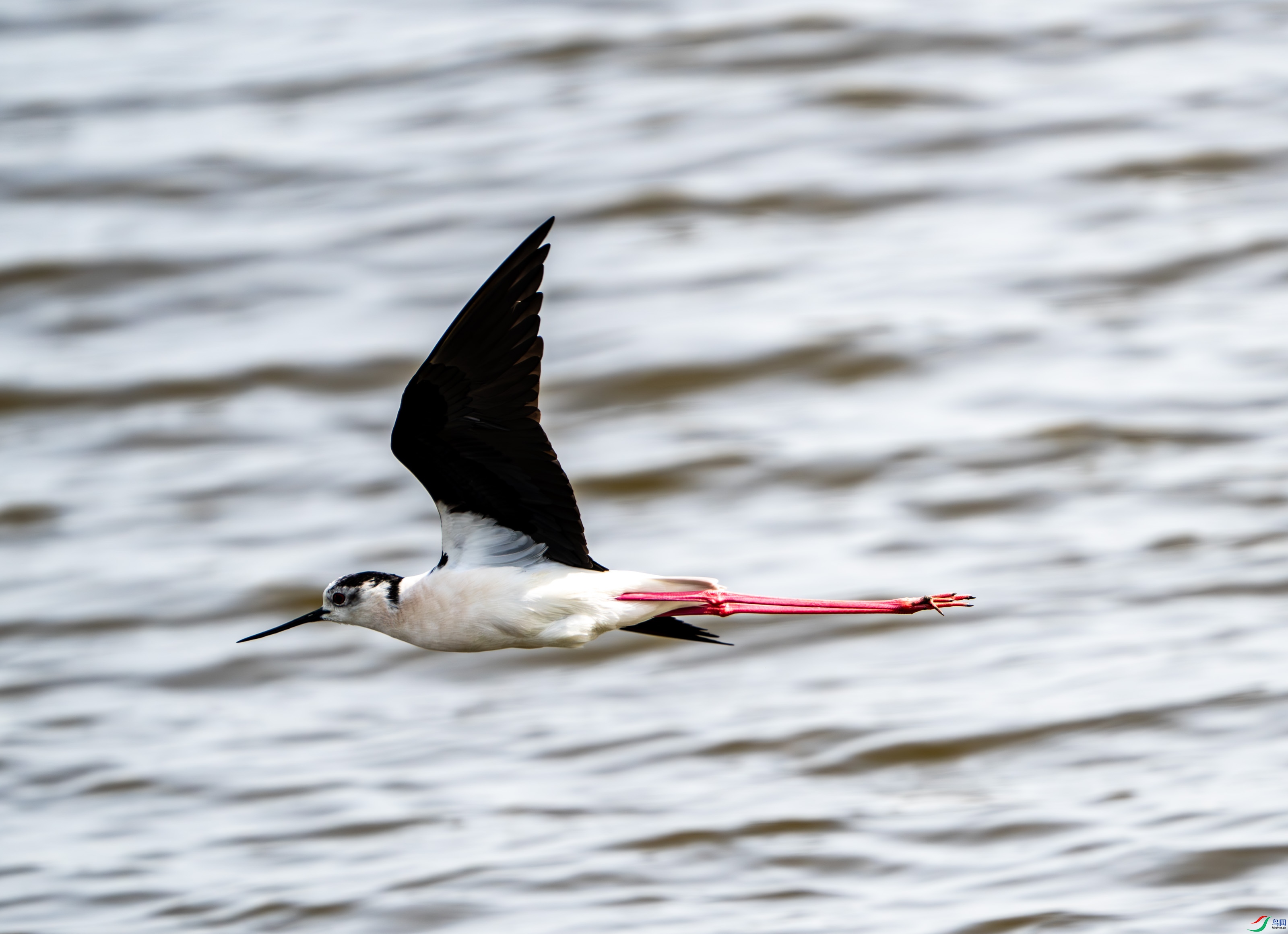 ������ -04.jpg