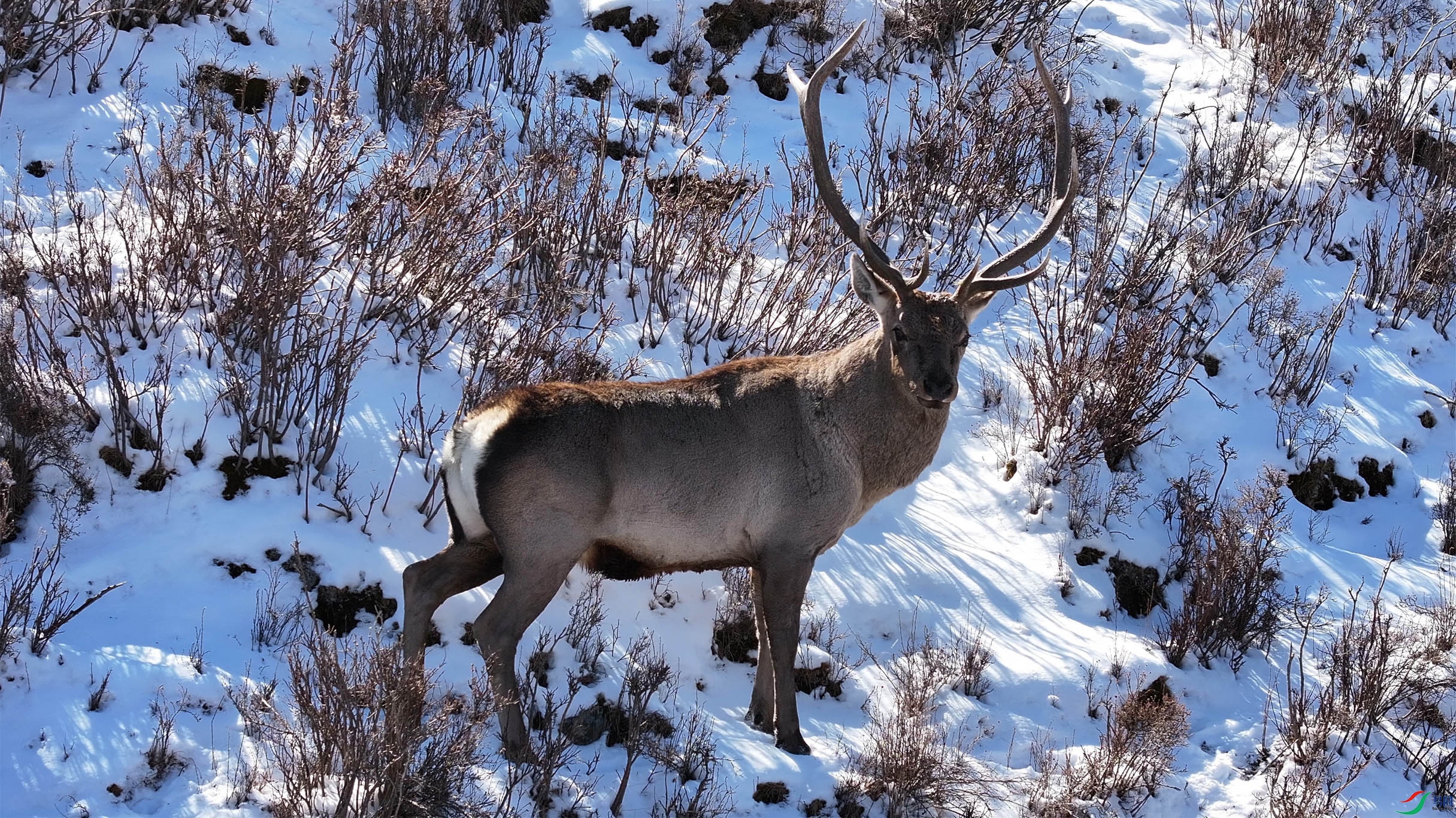 DJI_20251027124930_0079_D ¹ ����.jpg