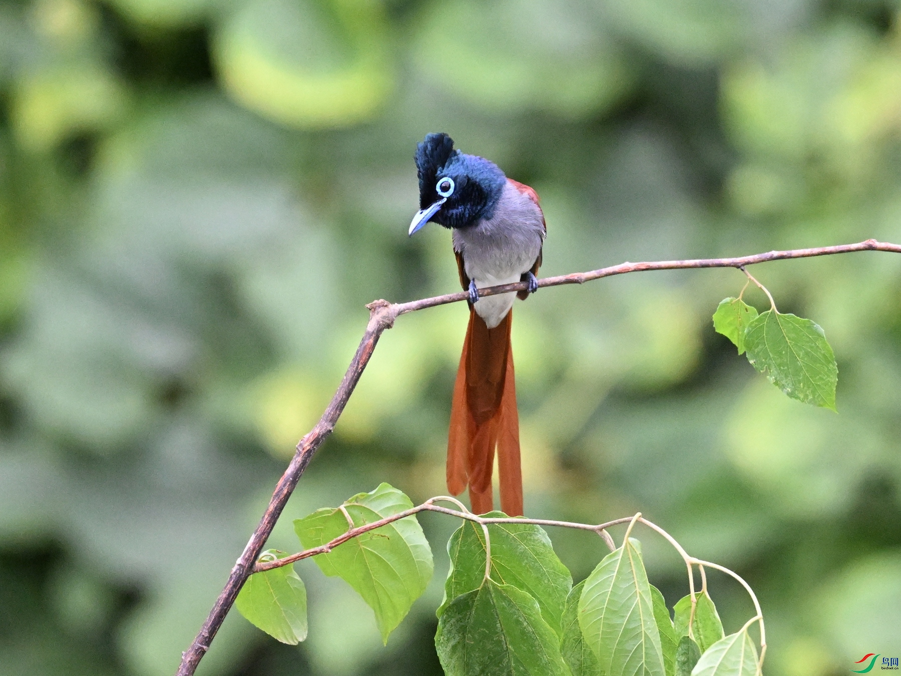 DSC_7011.JPG