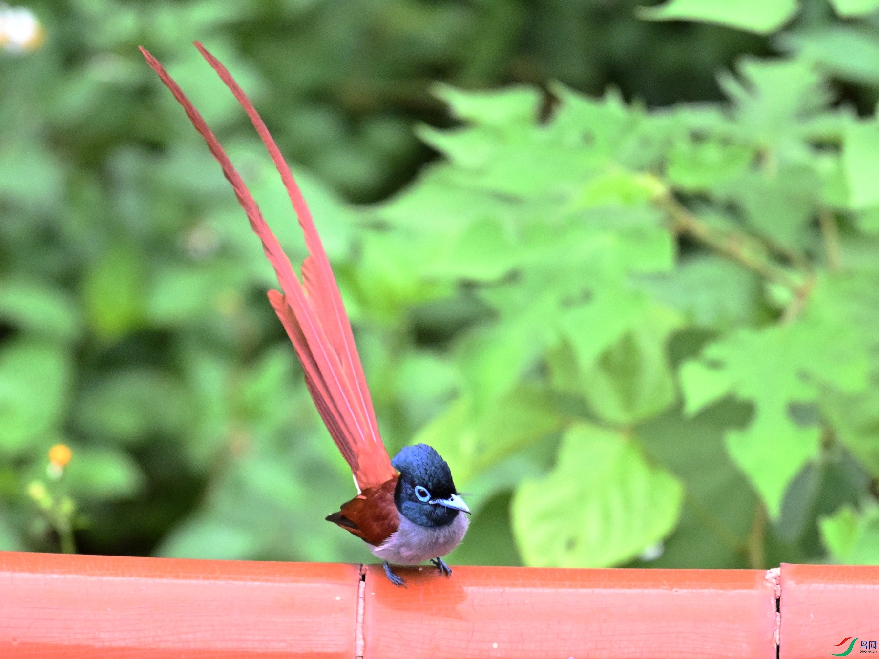 DSC_7092.JPG