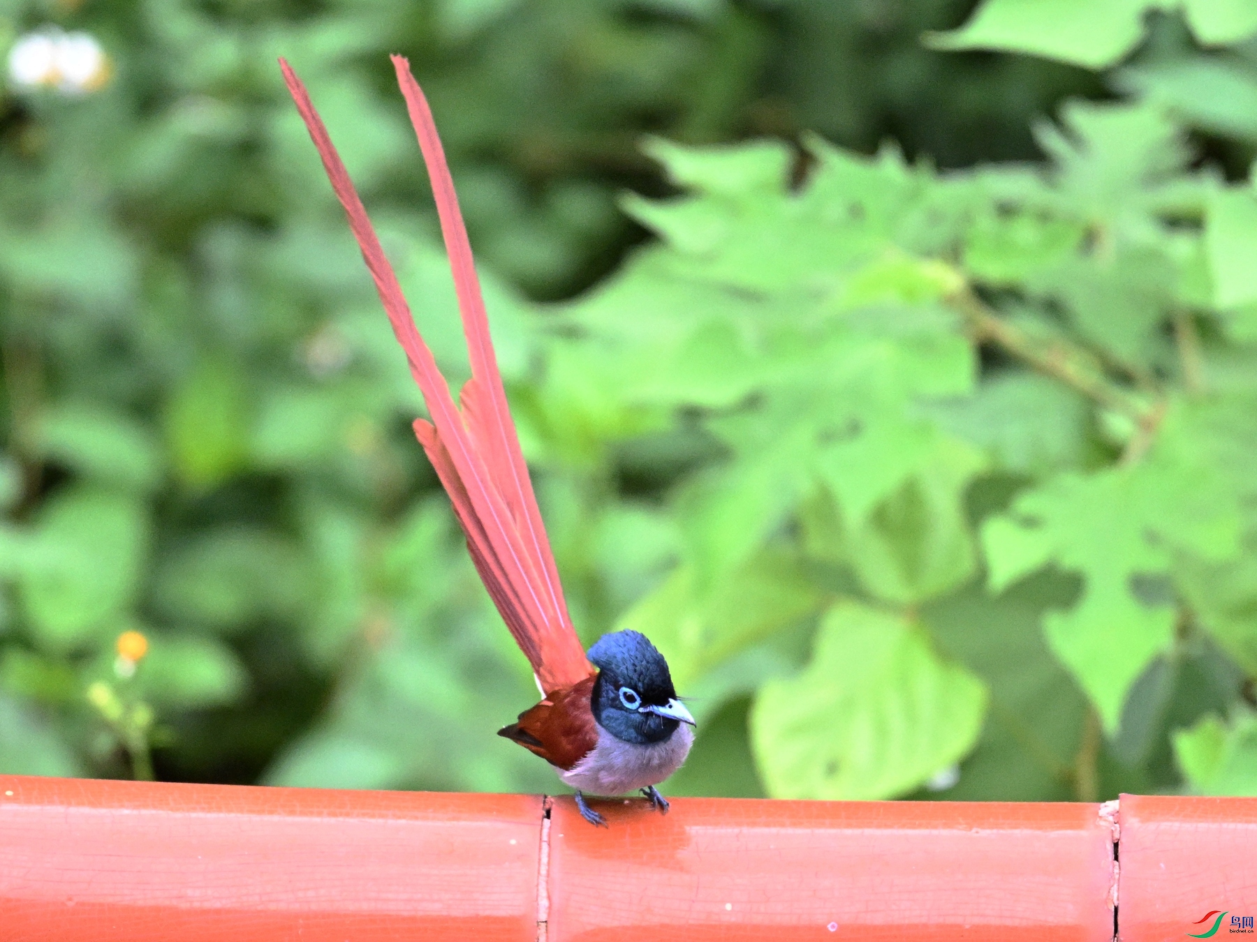 DSC_7094.JPG