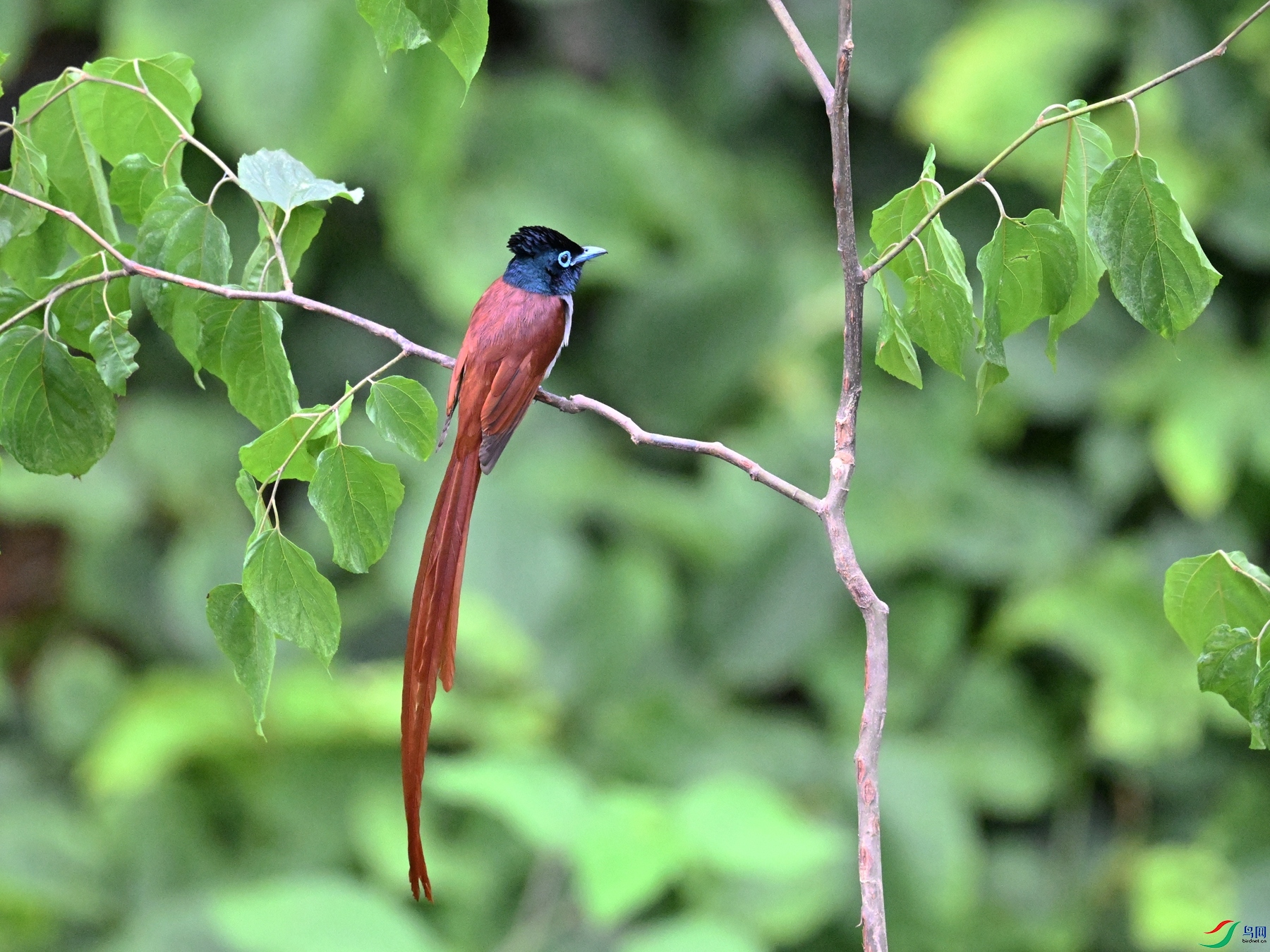 DSC_7009.JPG