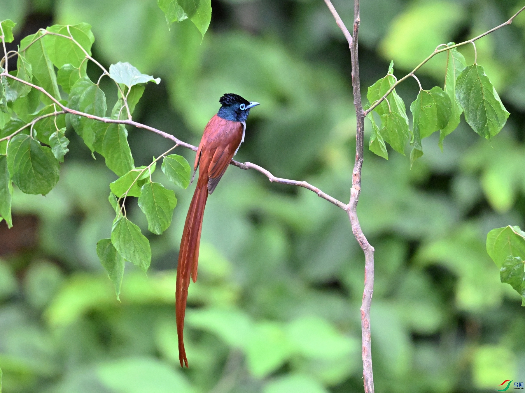 DSC_7010.JPG