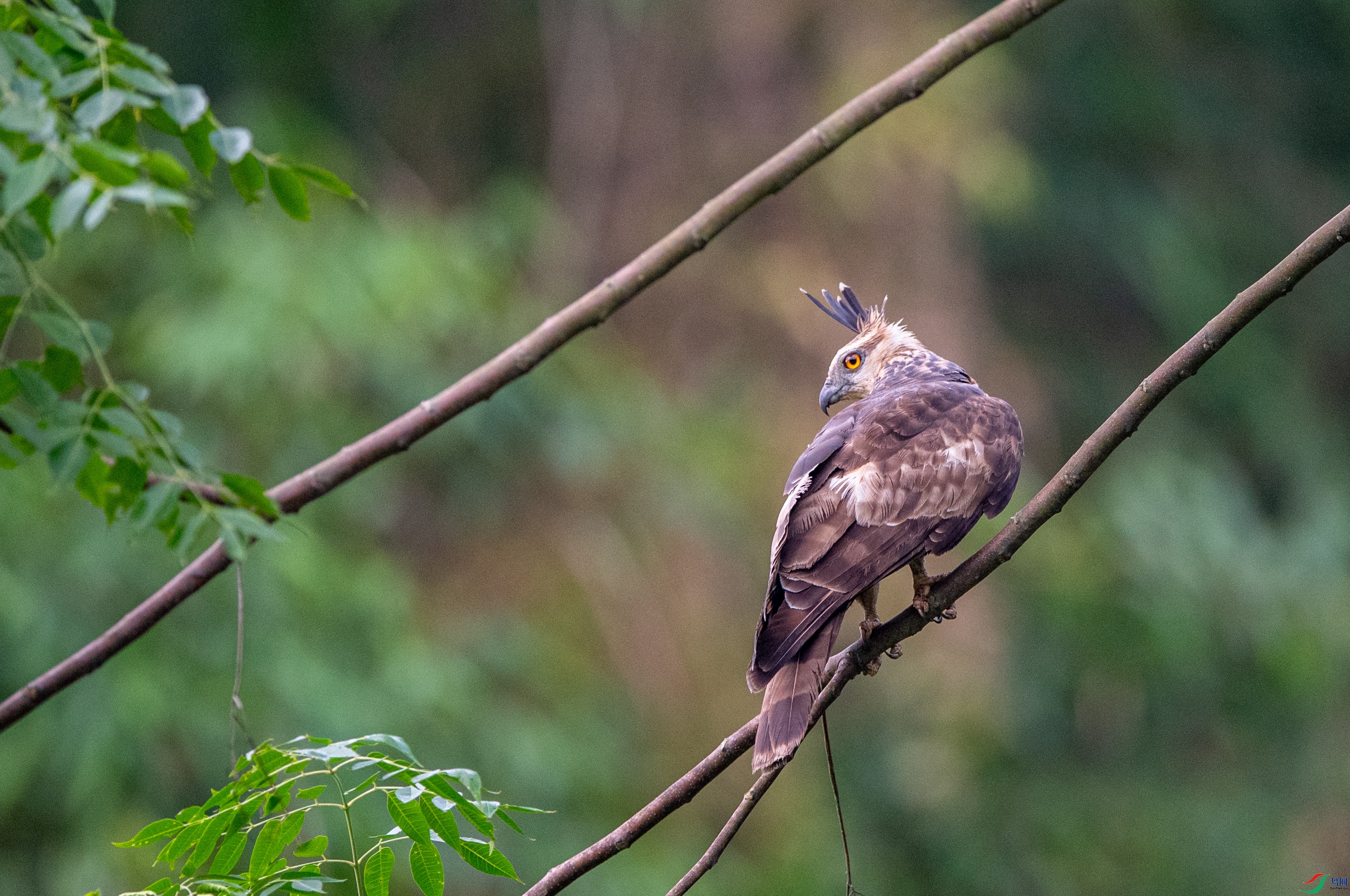 DSC_0873�ֹھ���.JPG