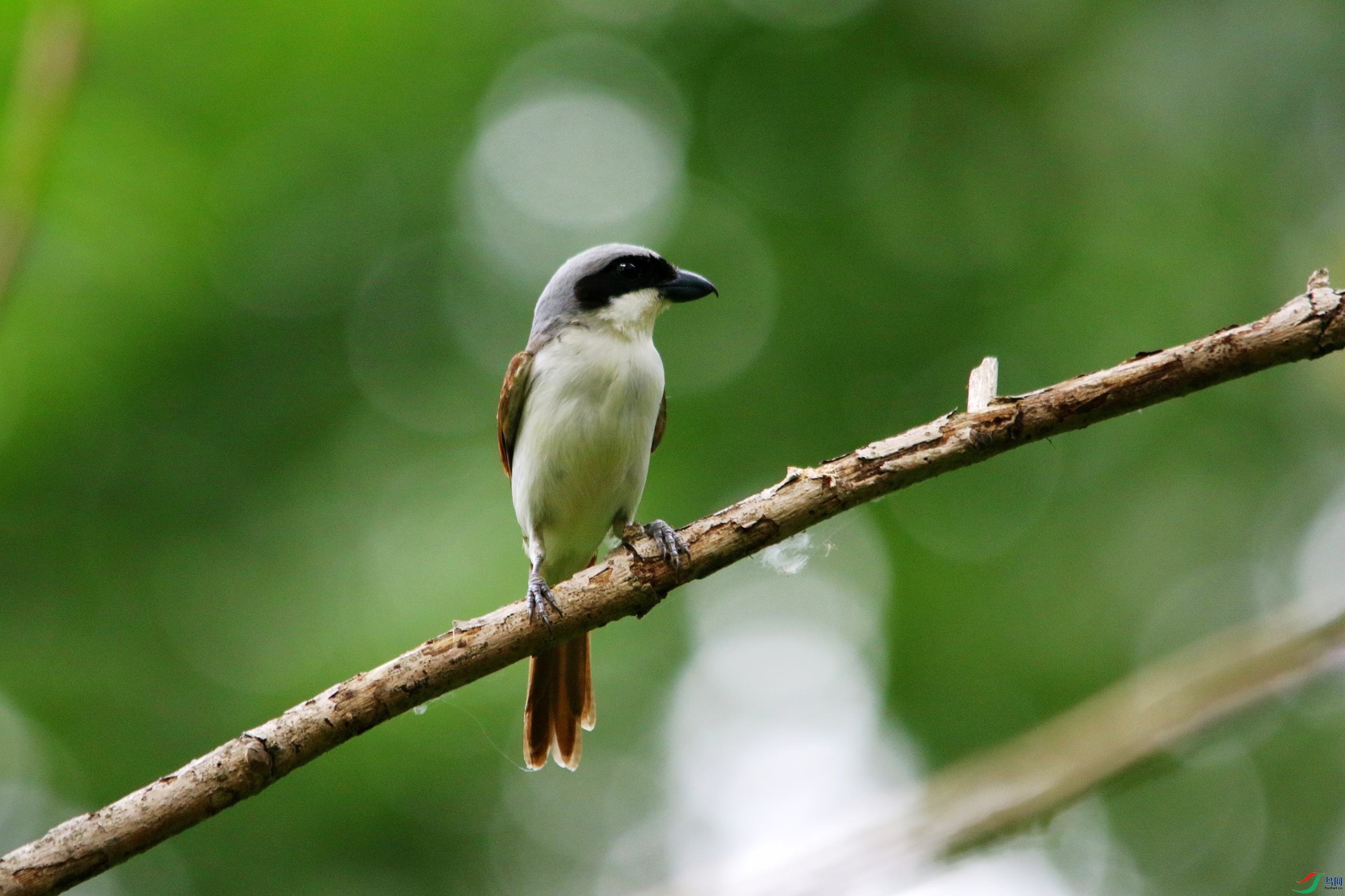 ���Ʋ��� (30).JPG