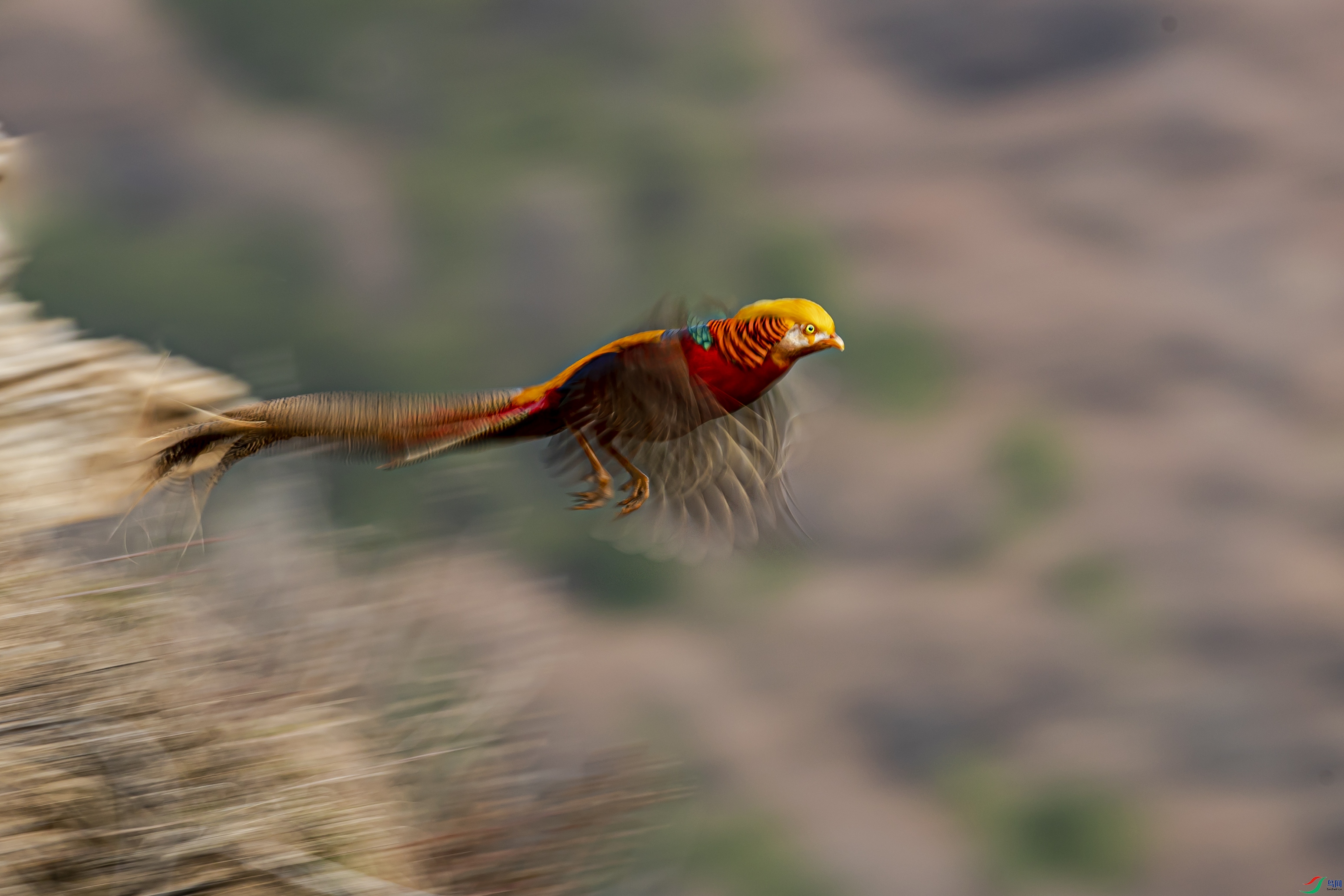 AN1I7590����.jpg