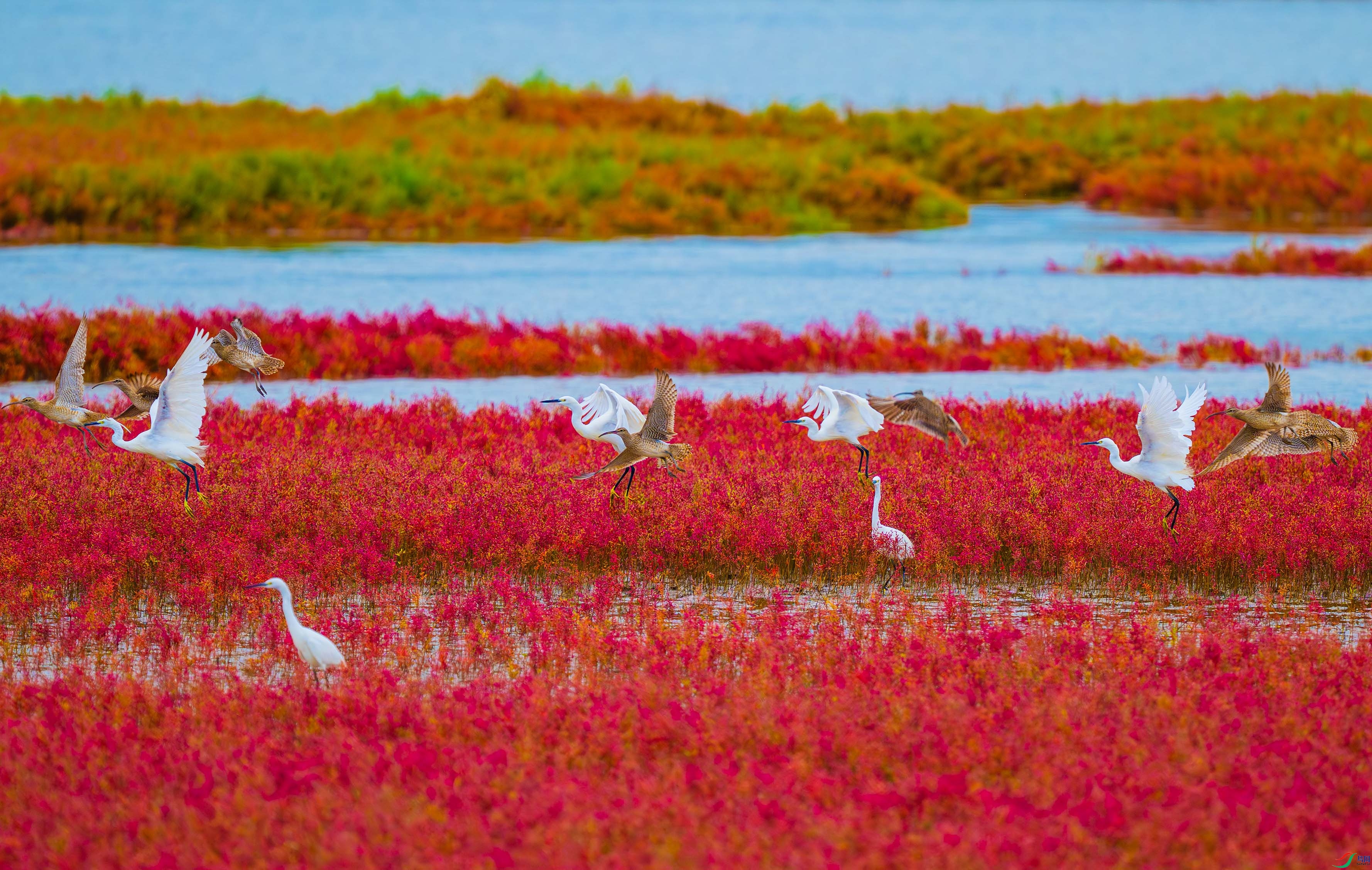 DSC_4781.jpg