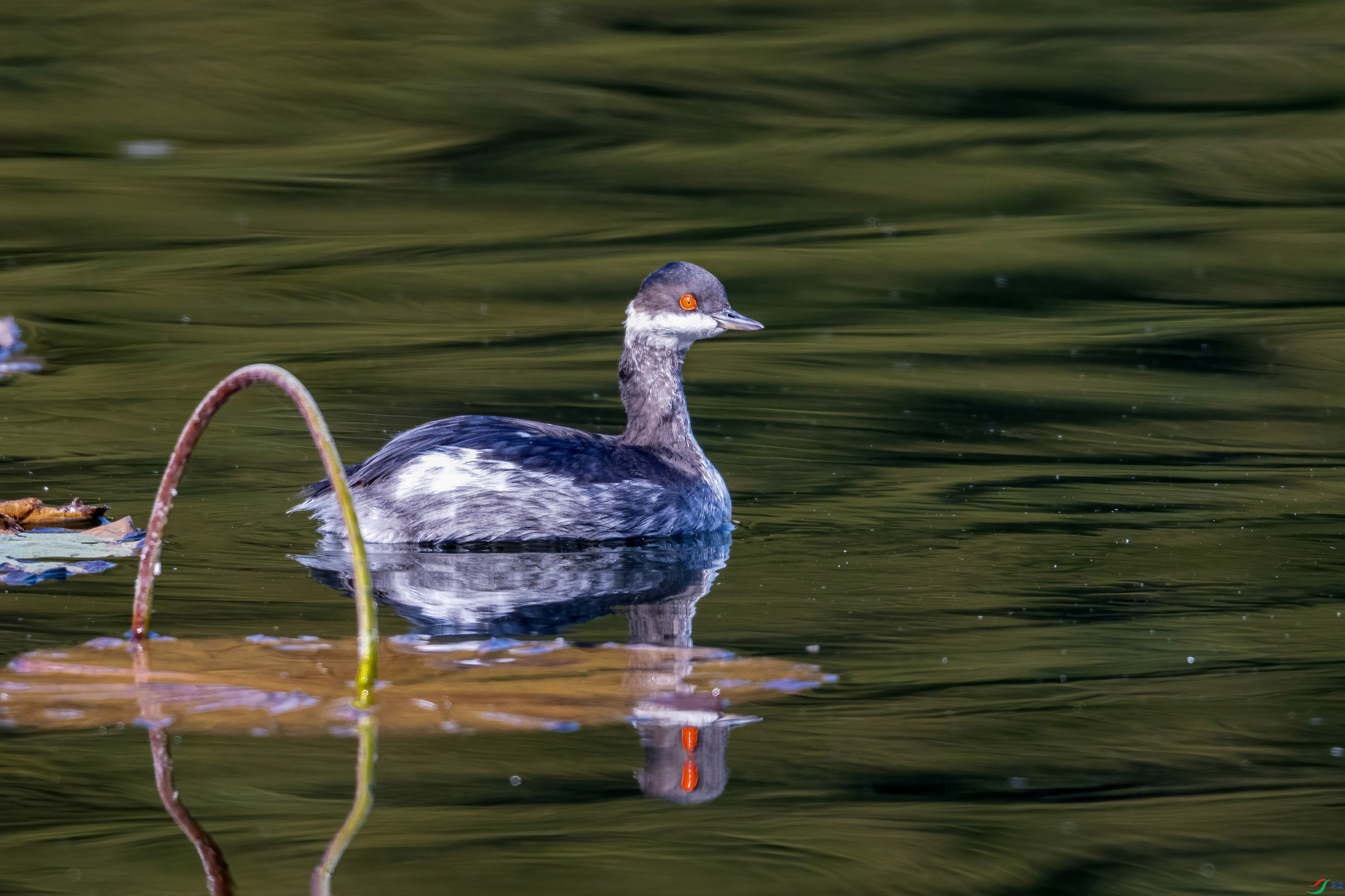 DSC_3763 ���� 2.jpg