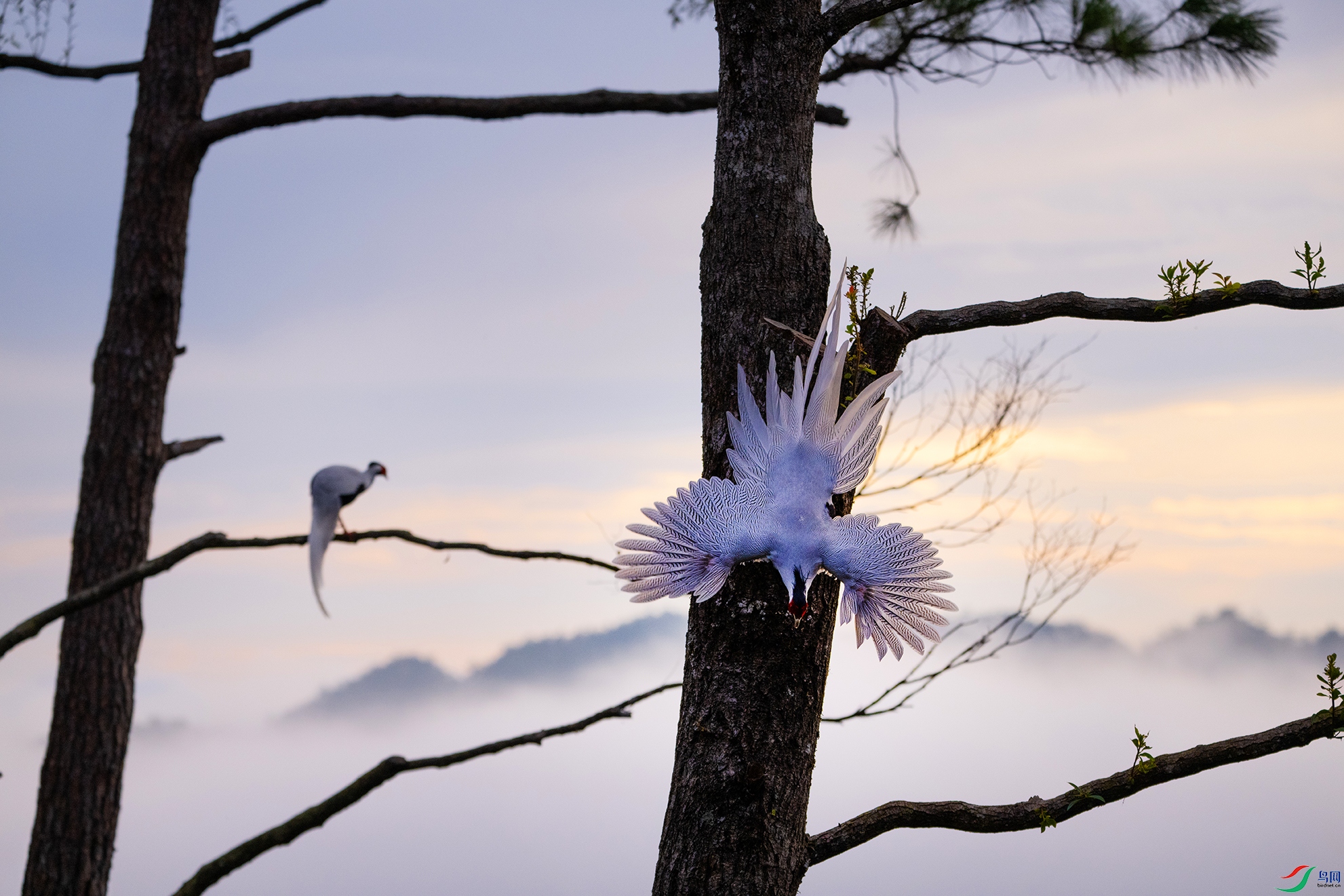 _DSC8663 ���� 1.jpg