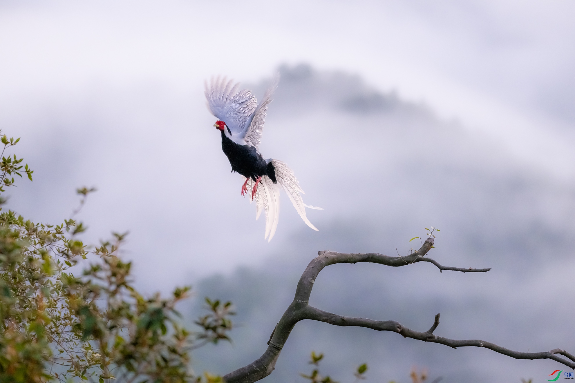 _DSC5618 ����.jpg