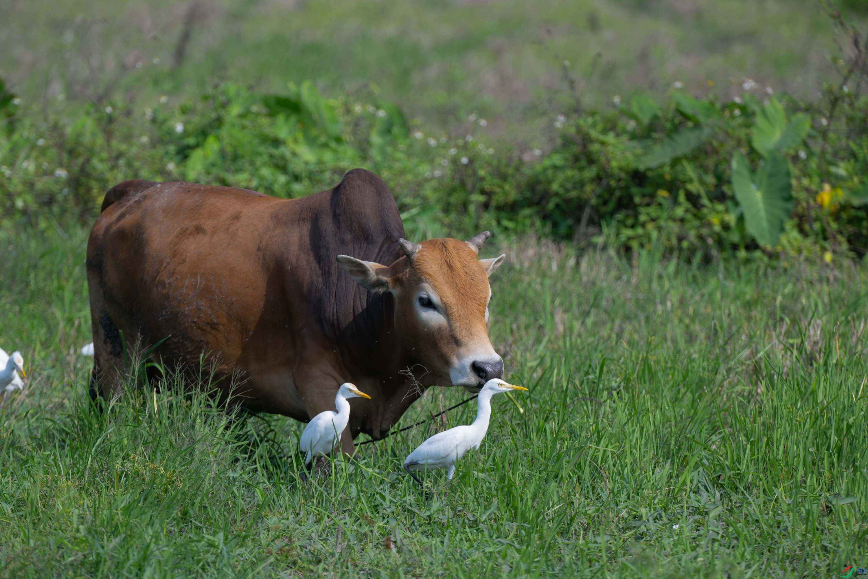 DSC_0058sen2024-2-4-2-�༭.jpg