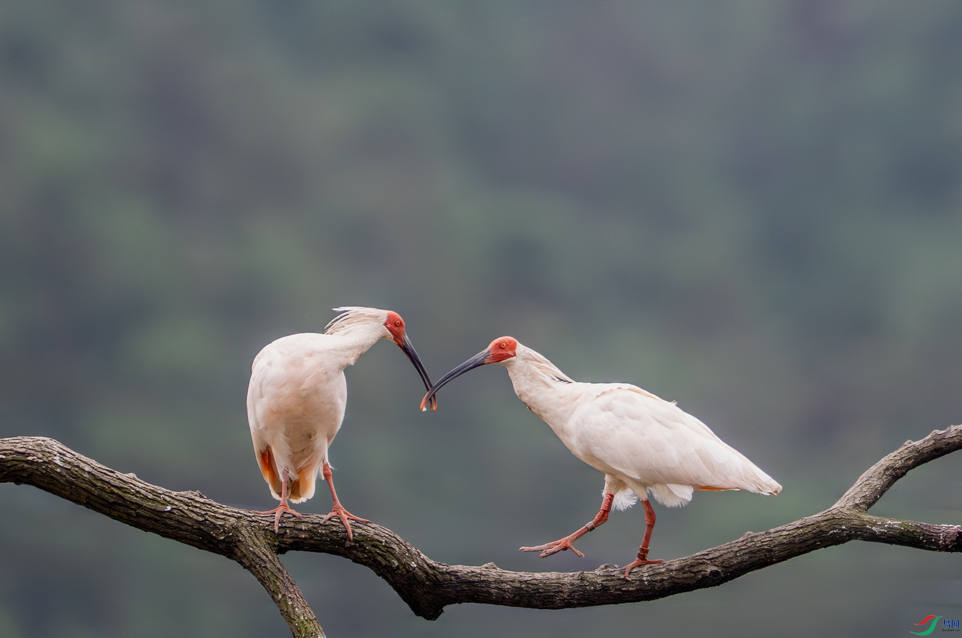 DSC_7860-1.jpg