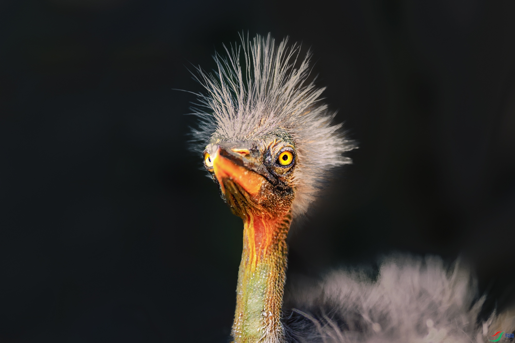 ���أ�����ҰȤ֮��������