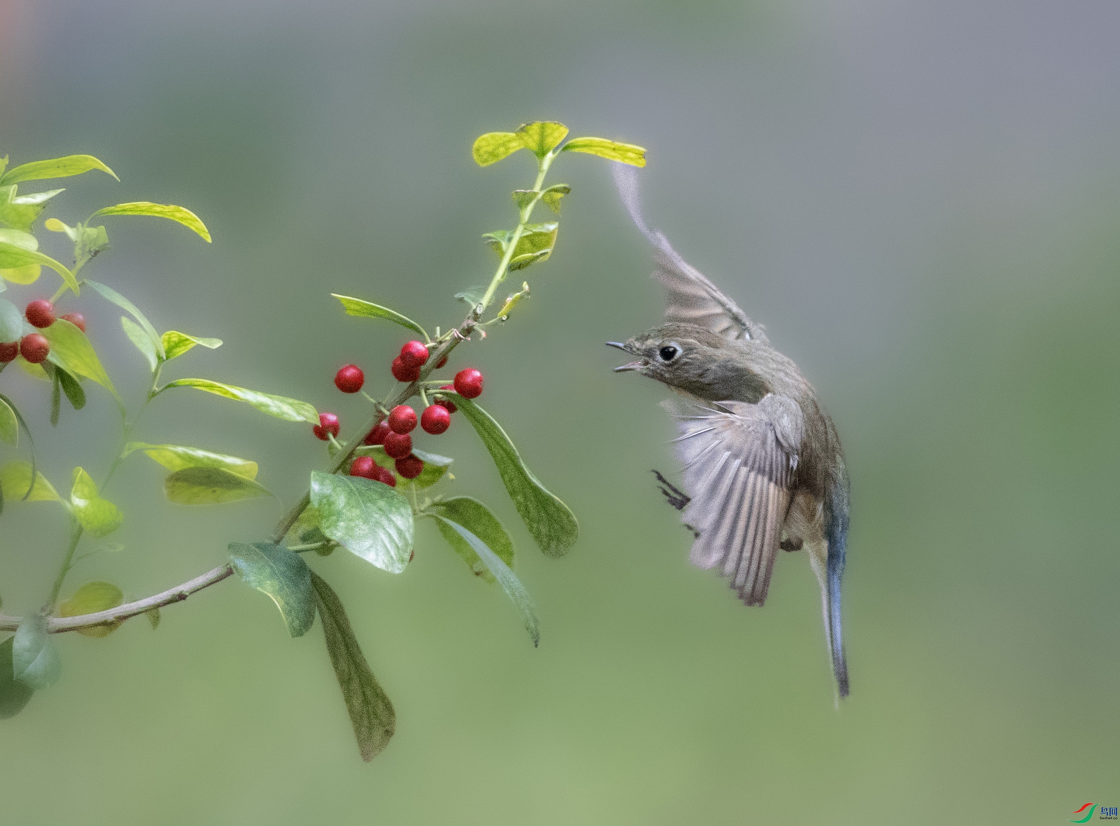 A79I8606 ����.jpg