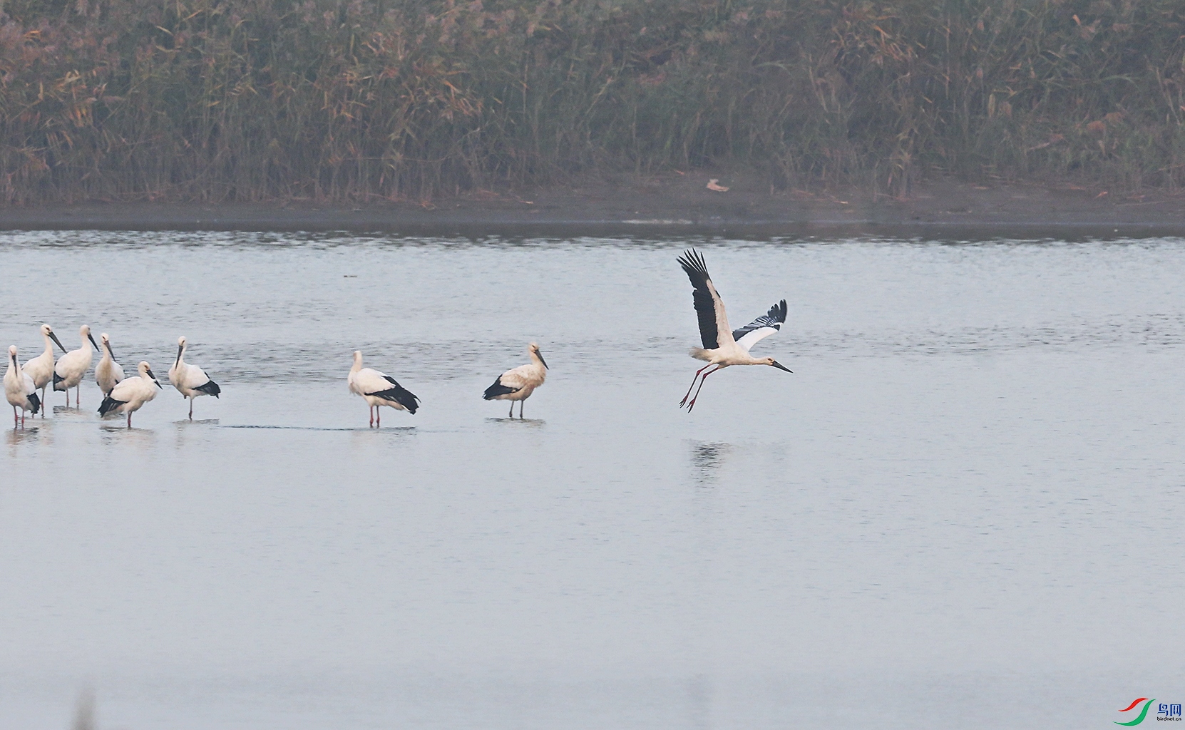 10��31�� -1.jpg