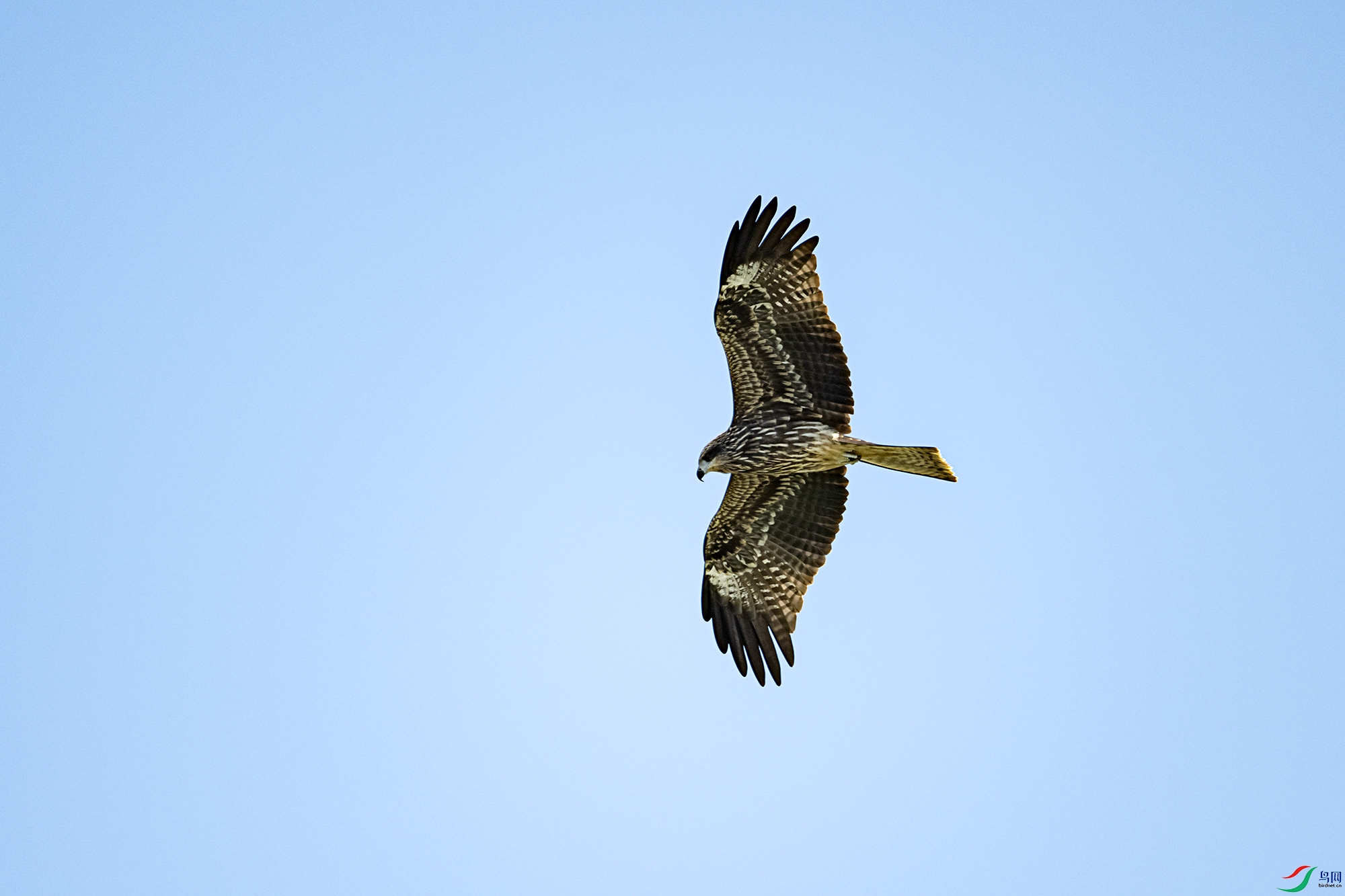 DSC_5818.jpg