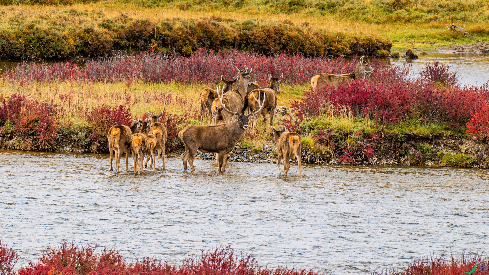 DSC_8570 ����_����.jpg