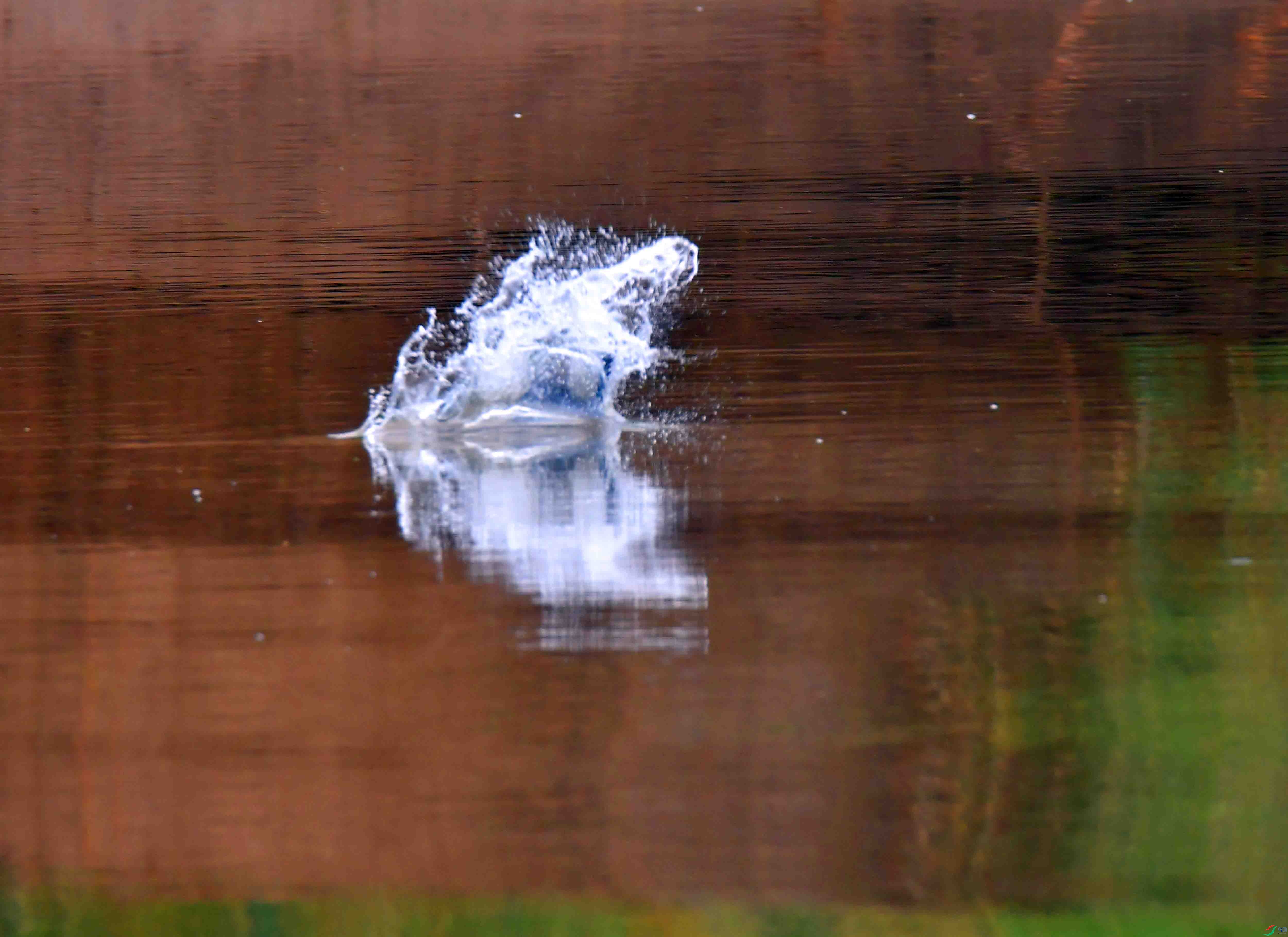 DSC_3859.JPG