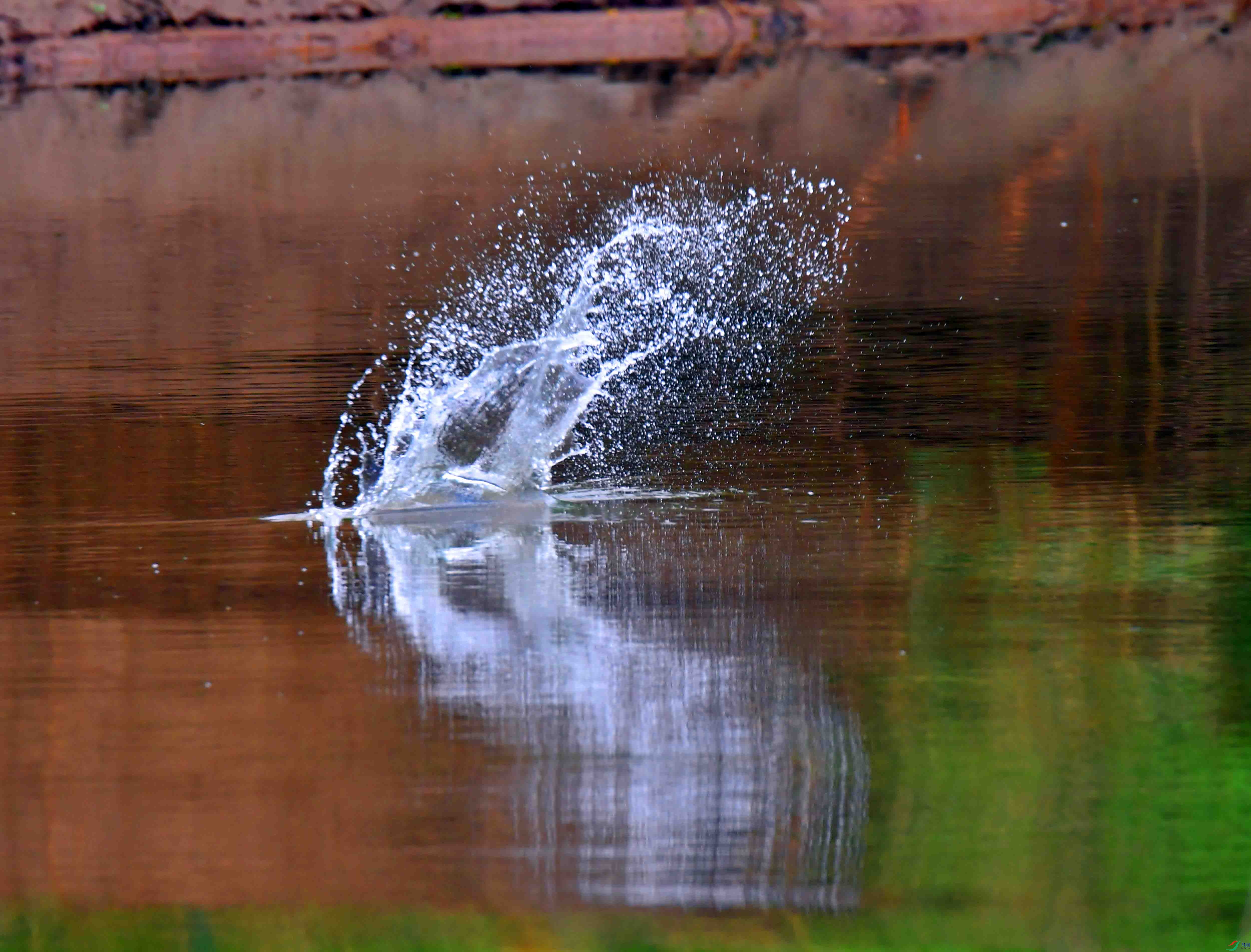 DSC_3860.JPG