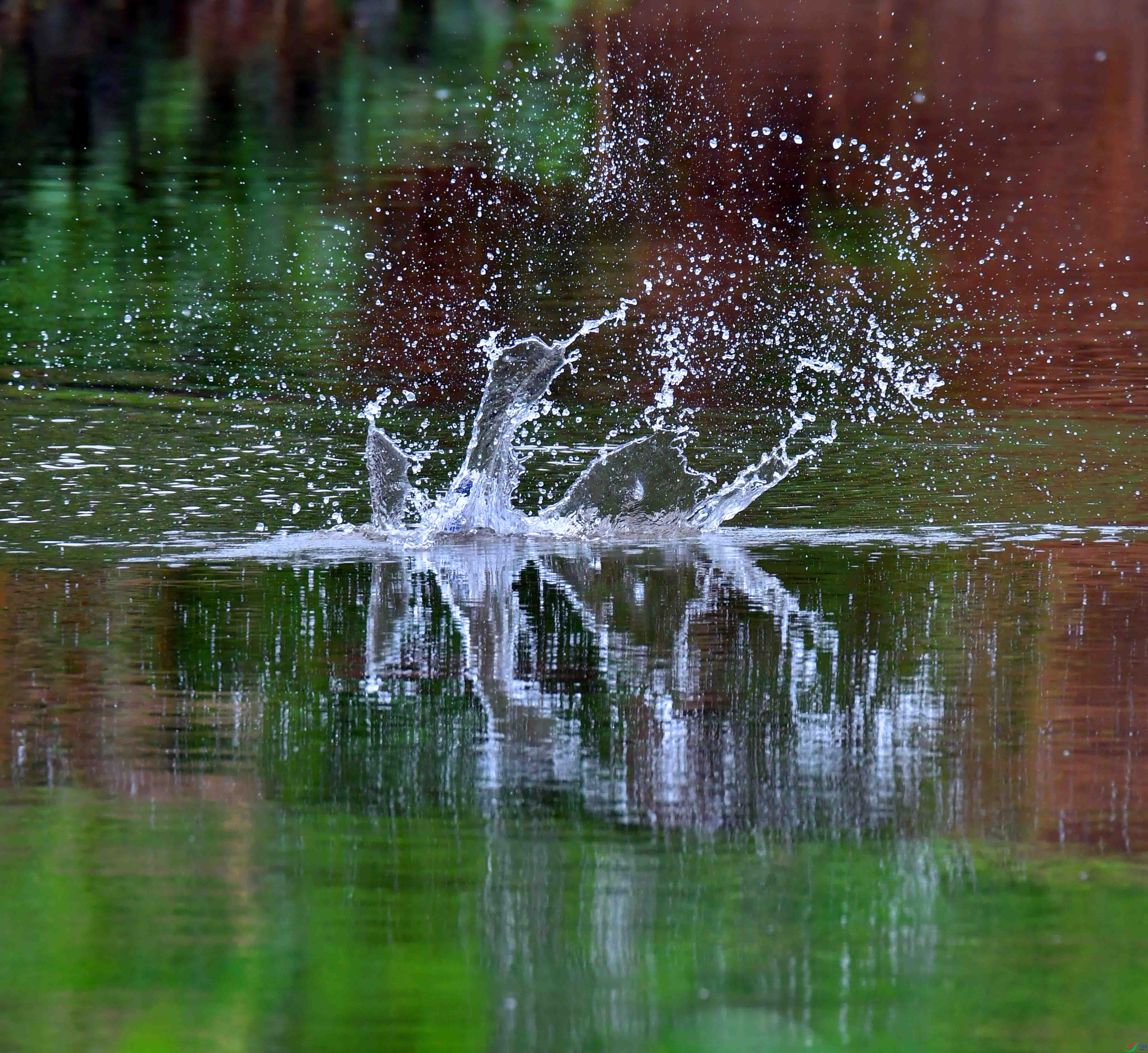 DSC_3872.JPG