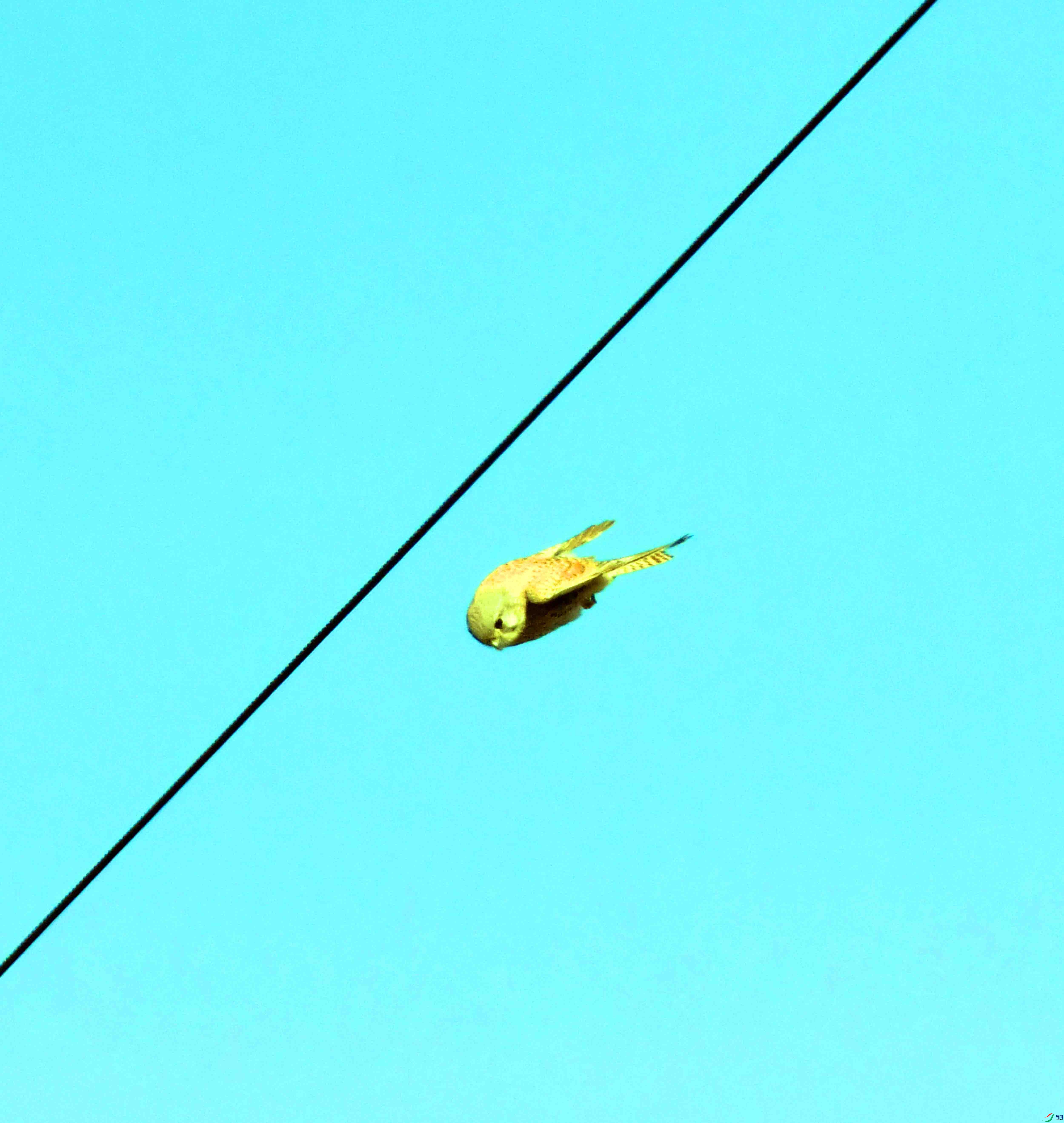 DSC_6036.JPG