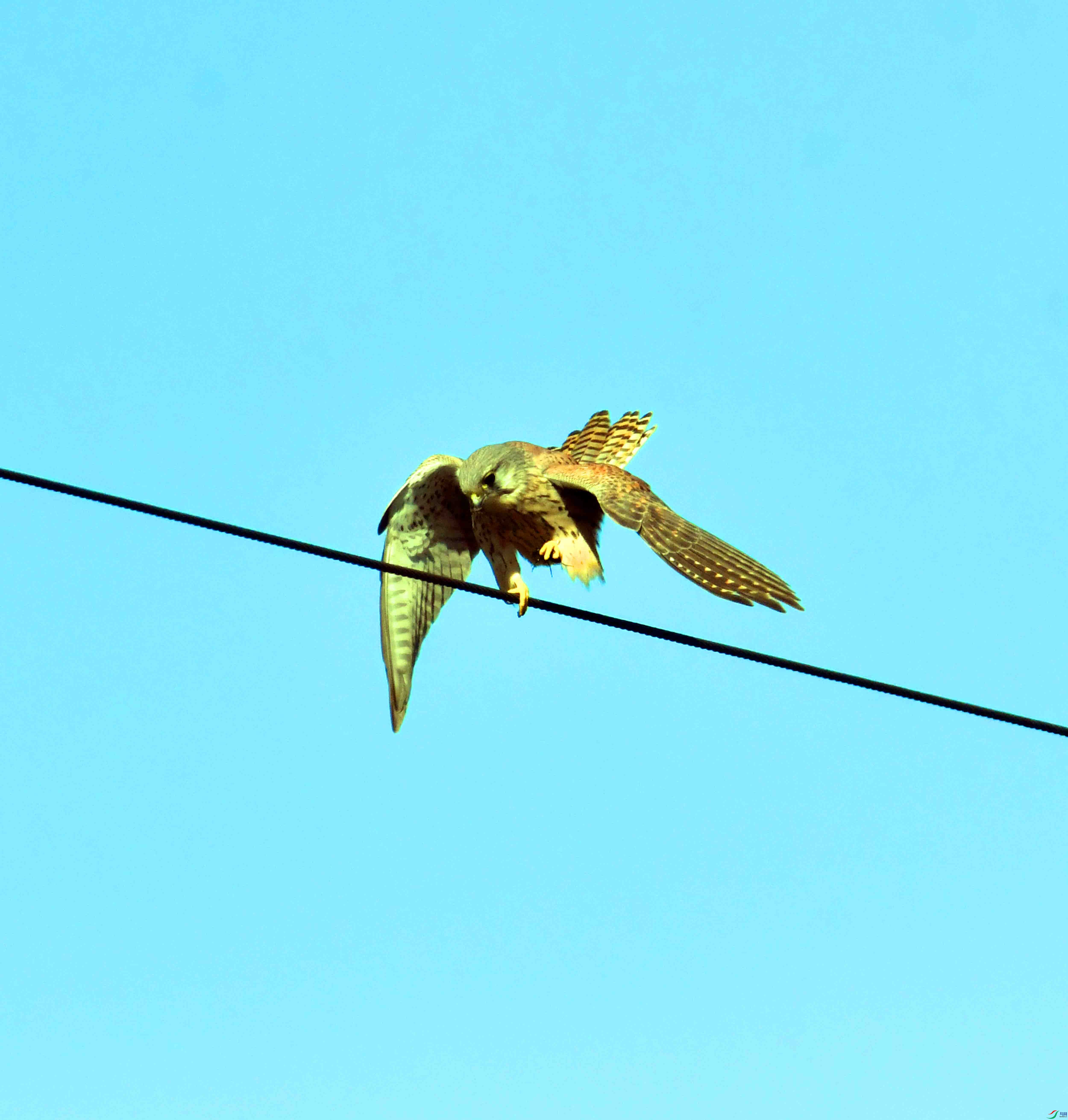 DSC_6044.JPG