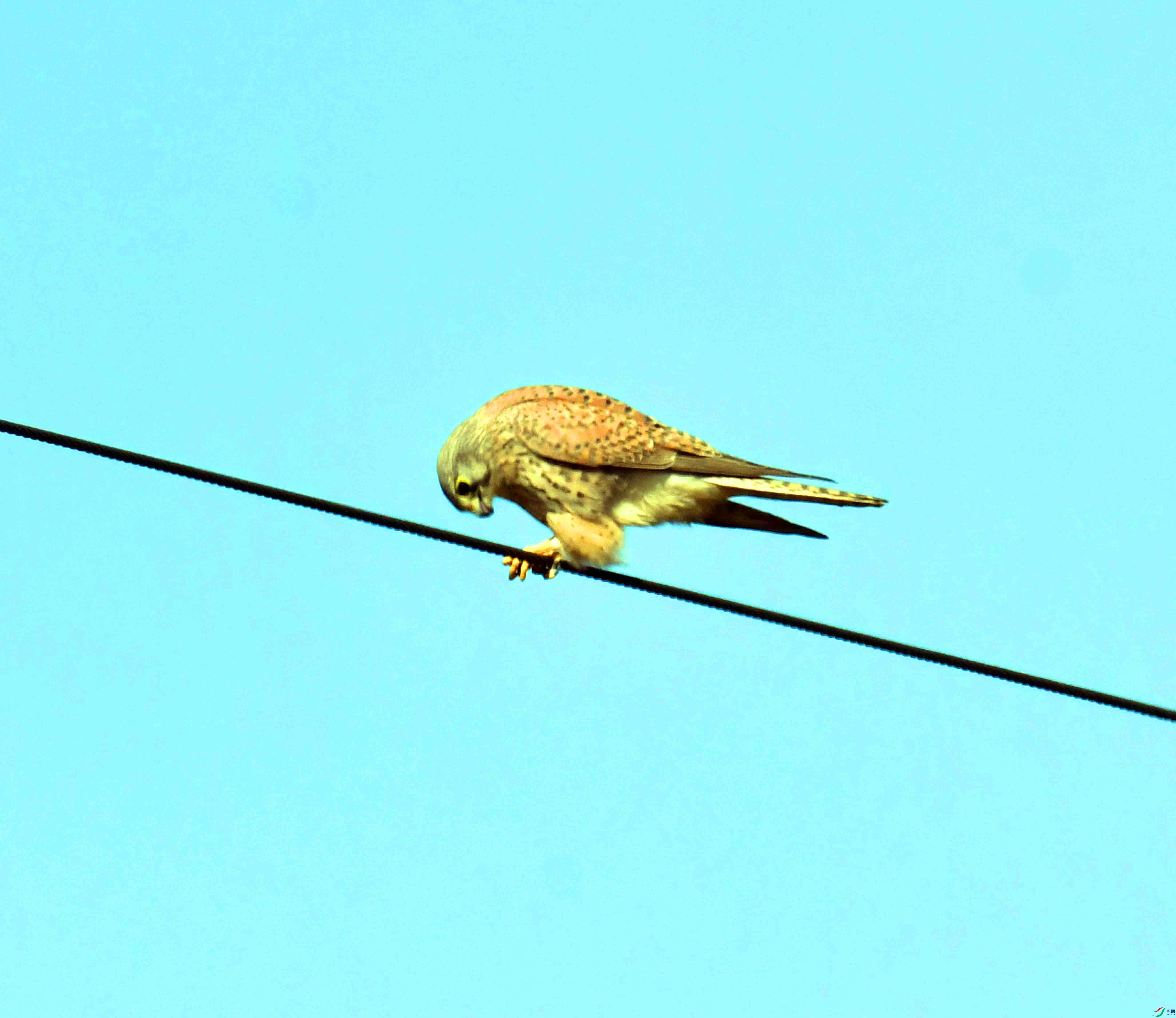 DSC_6088.JPG