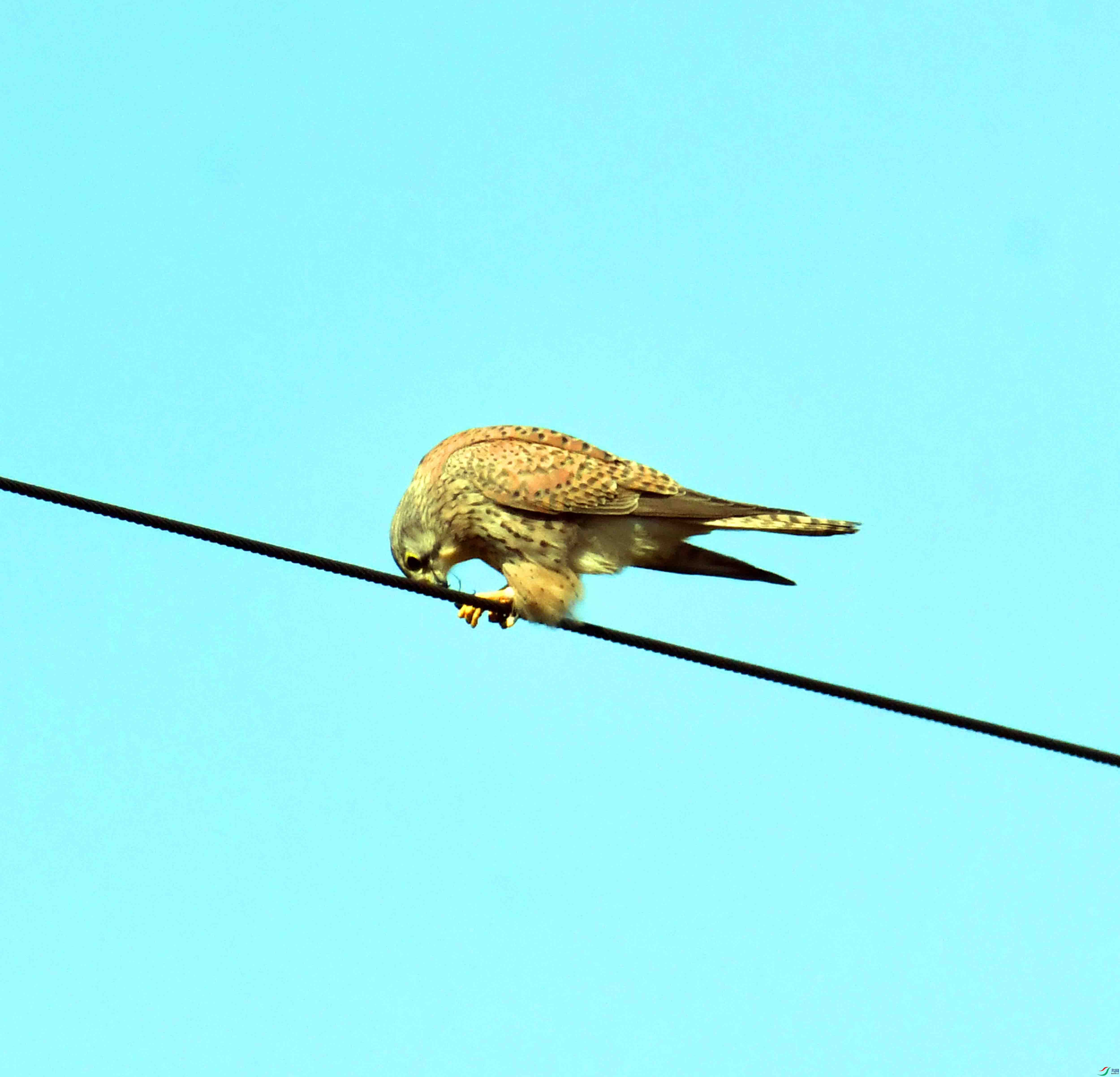 DSC_6082.JPG