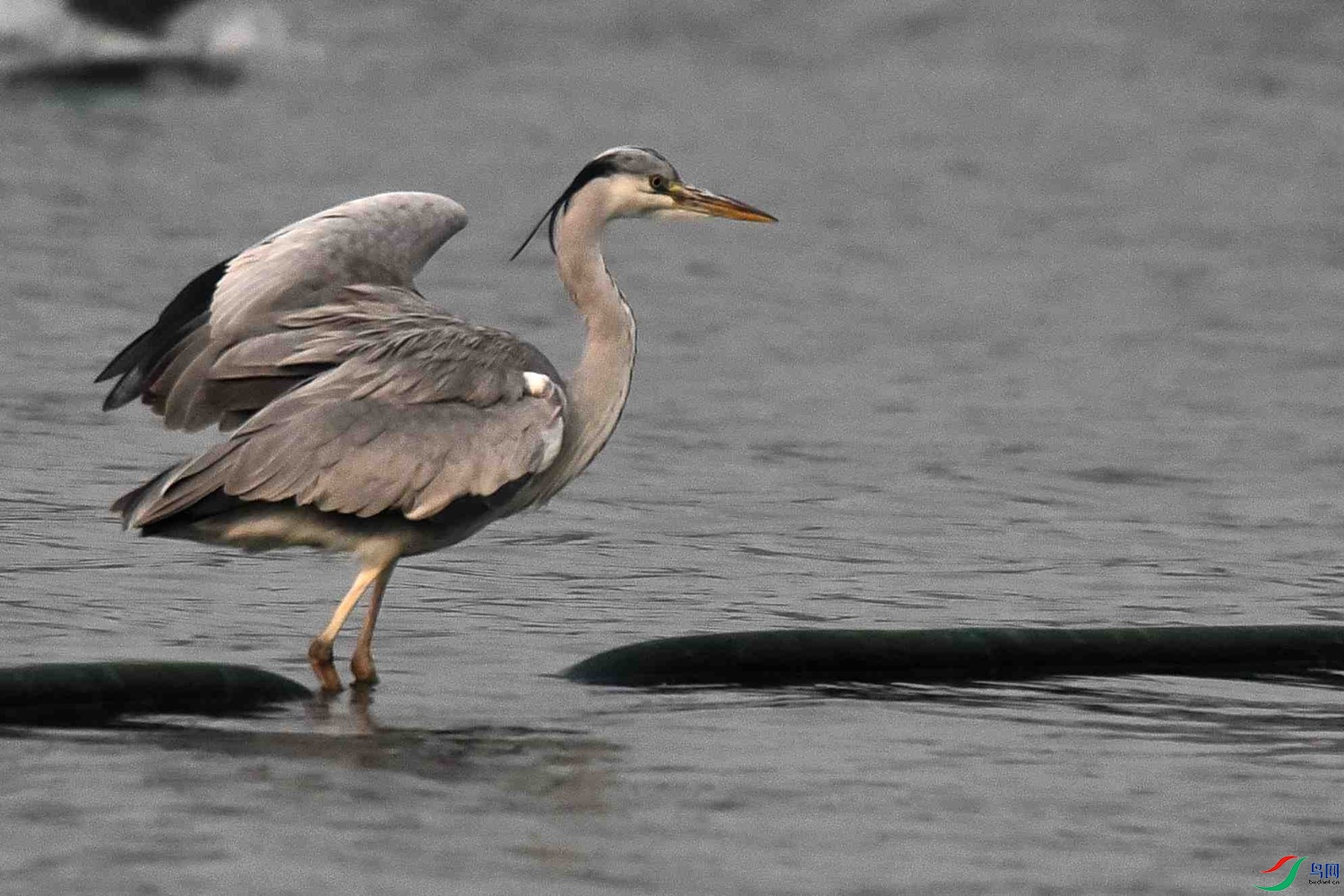 DSC_5465.JPG