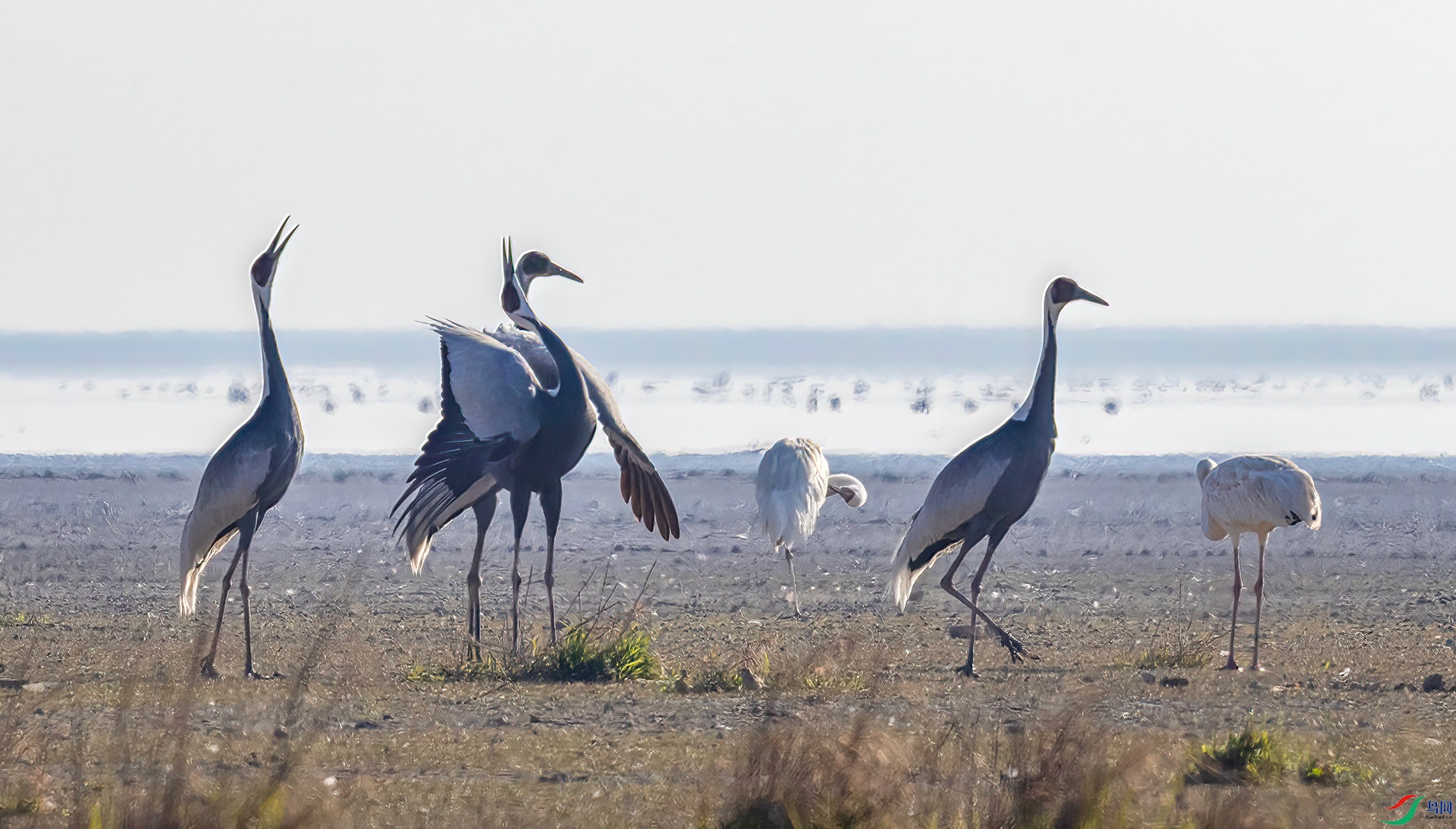 407A6288 ����-Sh-----1 .jpg