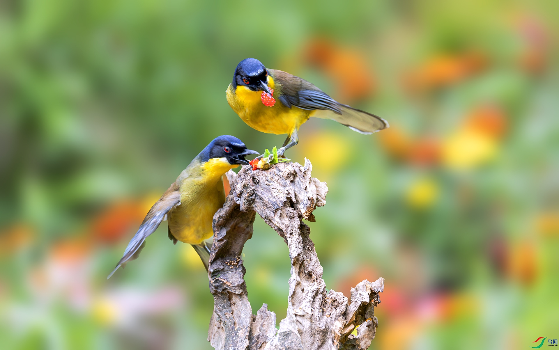 060A6472------22  .jpg