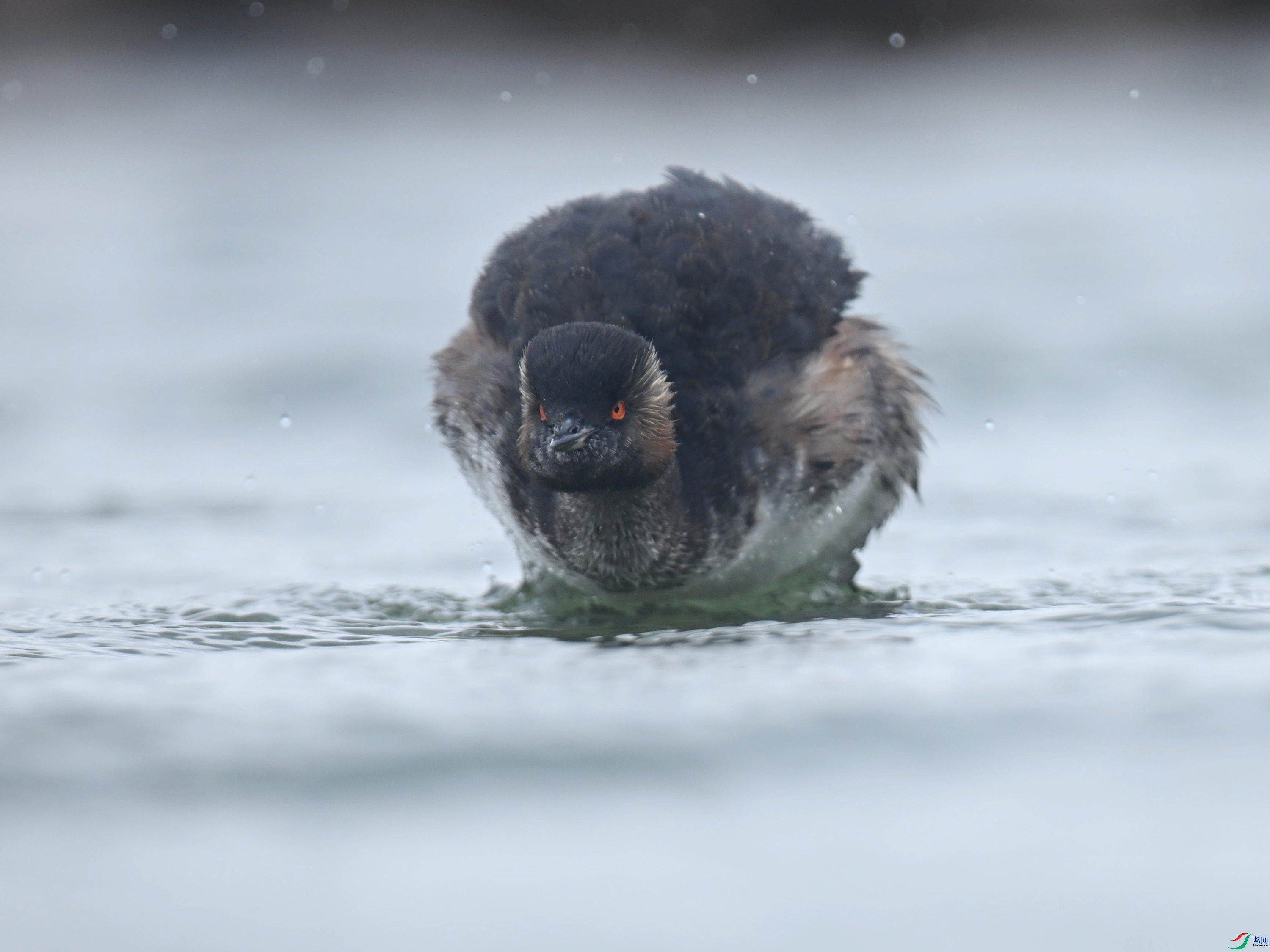 �ھ�PT (120).jpg