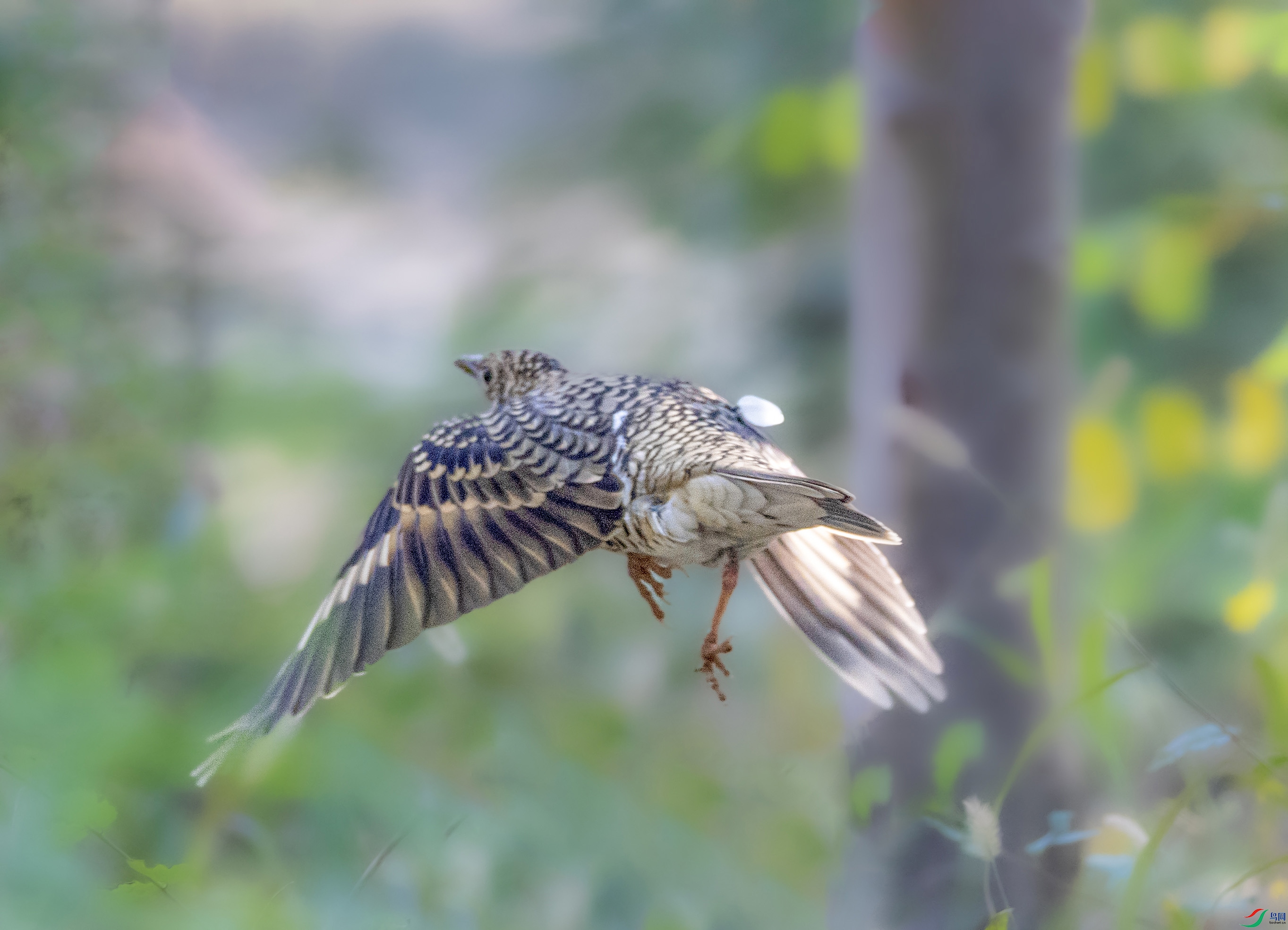 A79I7405 ���� 2.jpg