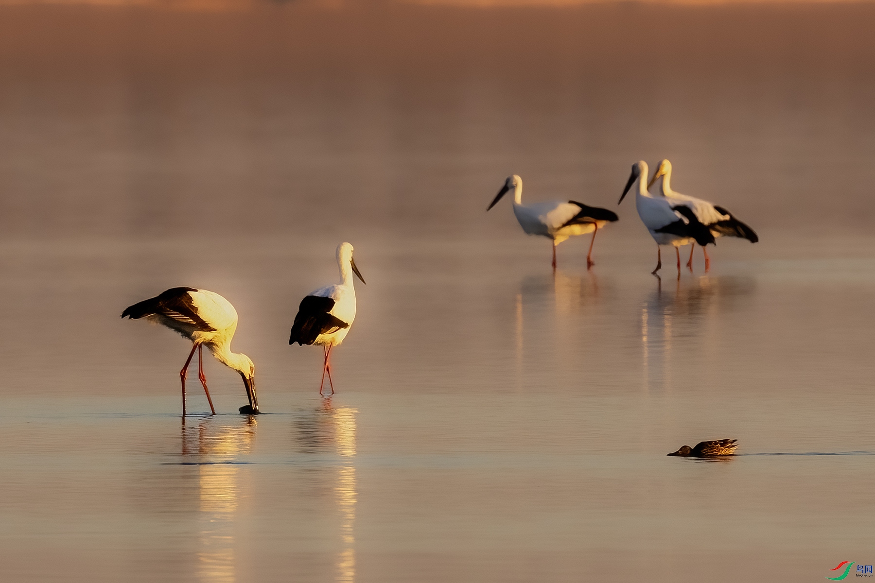 IMG_9999 ����.jpg