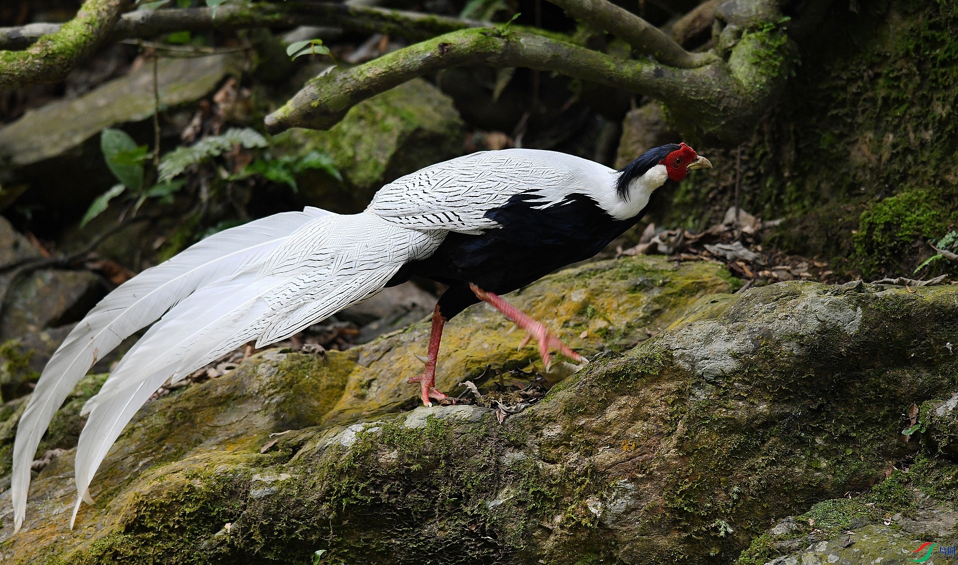 DSC_2308.jpg