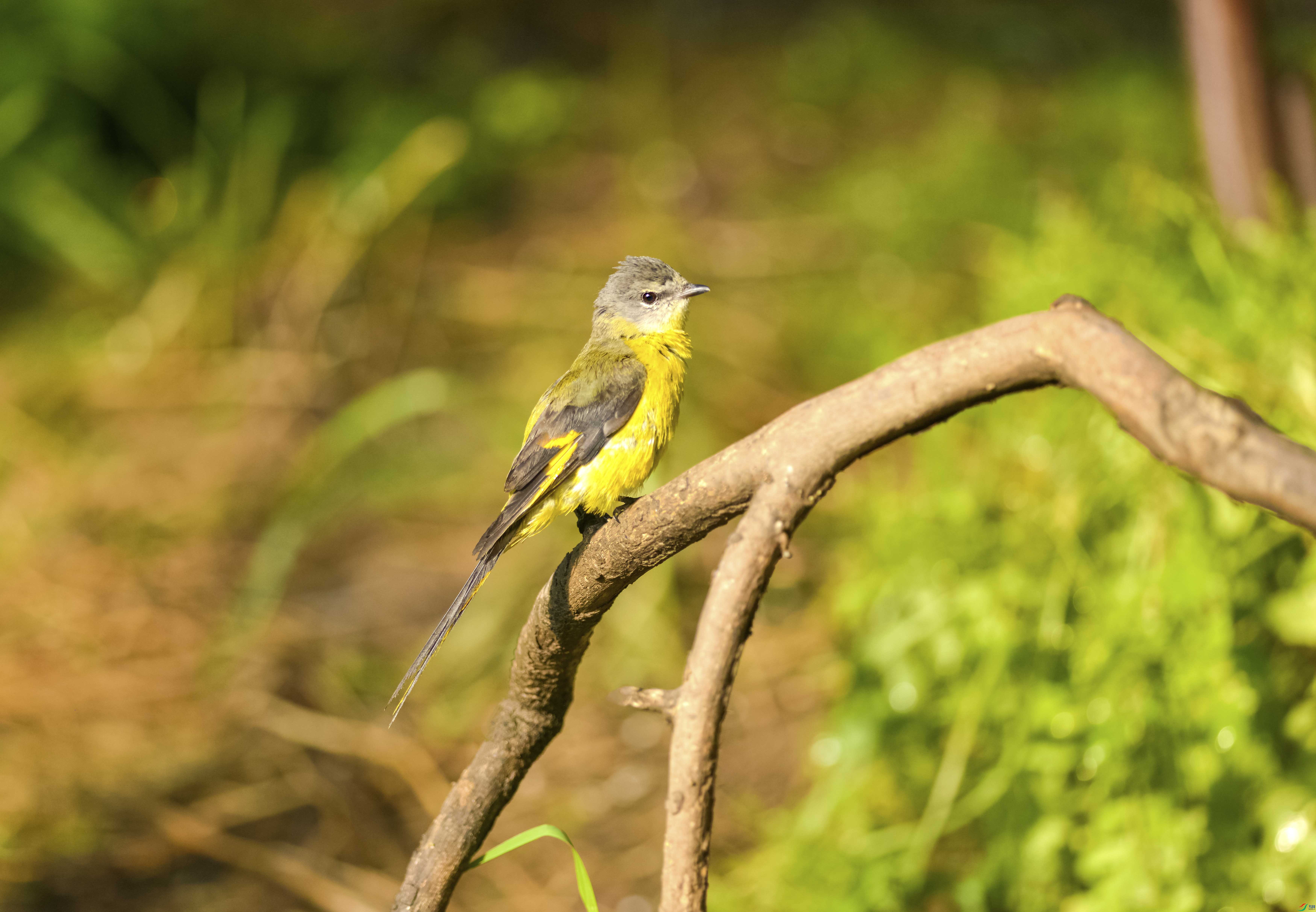 DSC_6265.jpg