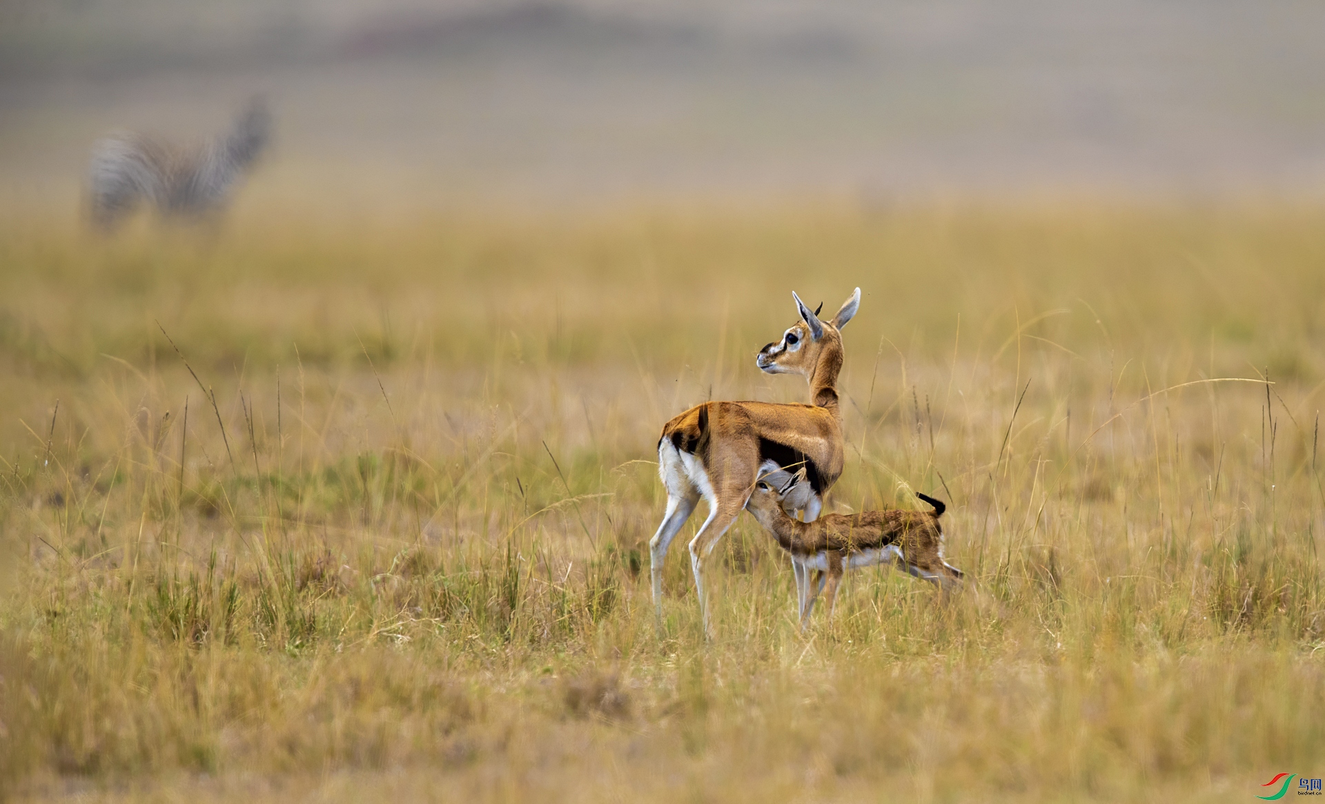 �ڰ��� ����.jpg