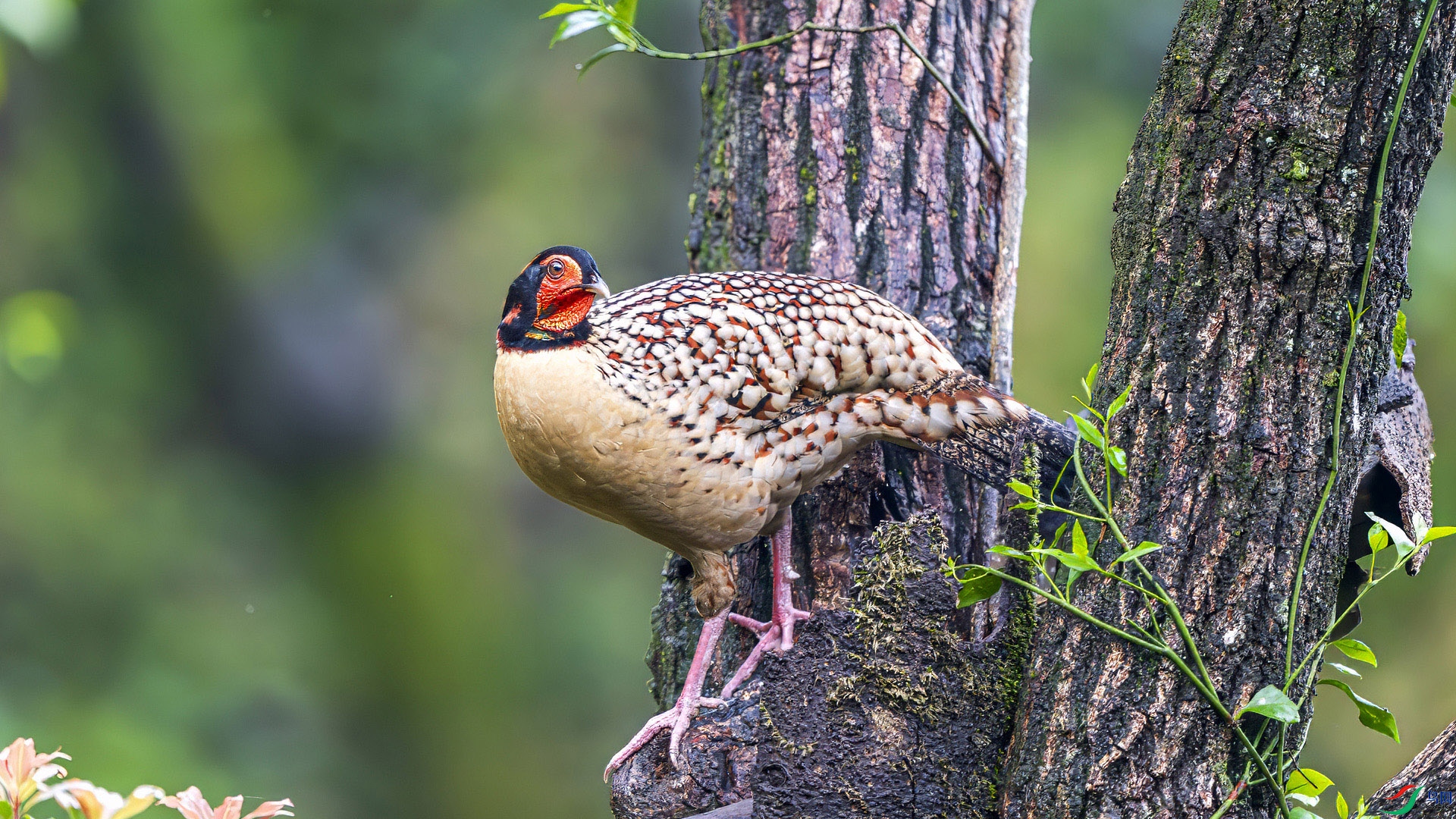 _DSC3140 ���� 3.jpg