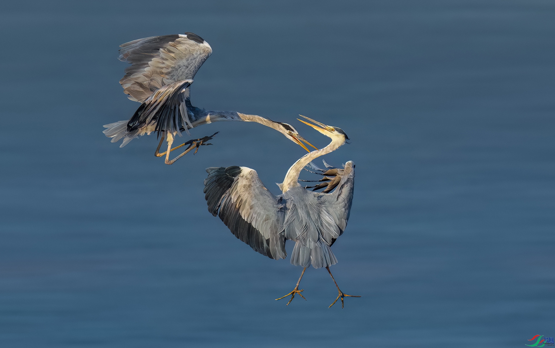 160433sem51zamppt96od5 ����.jpg